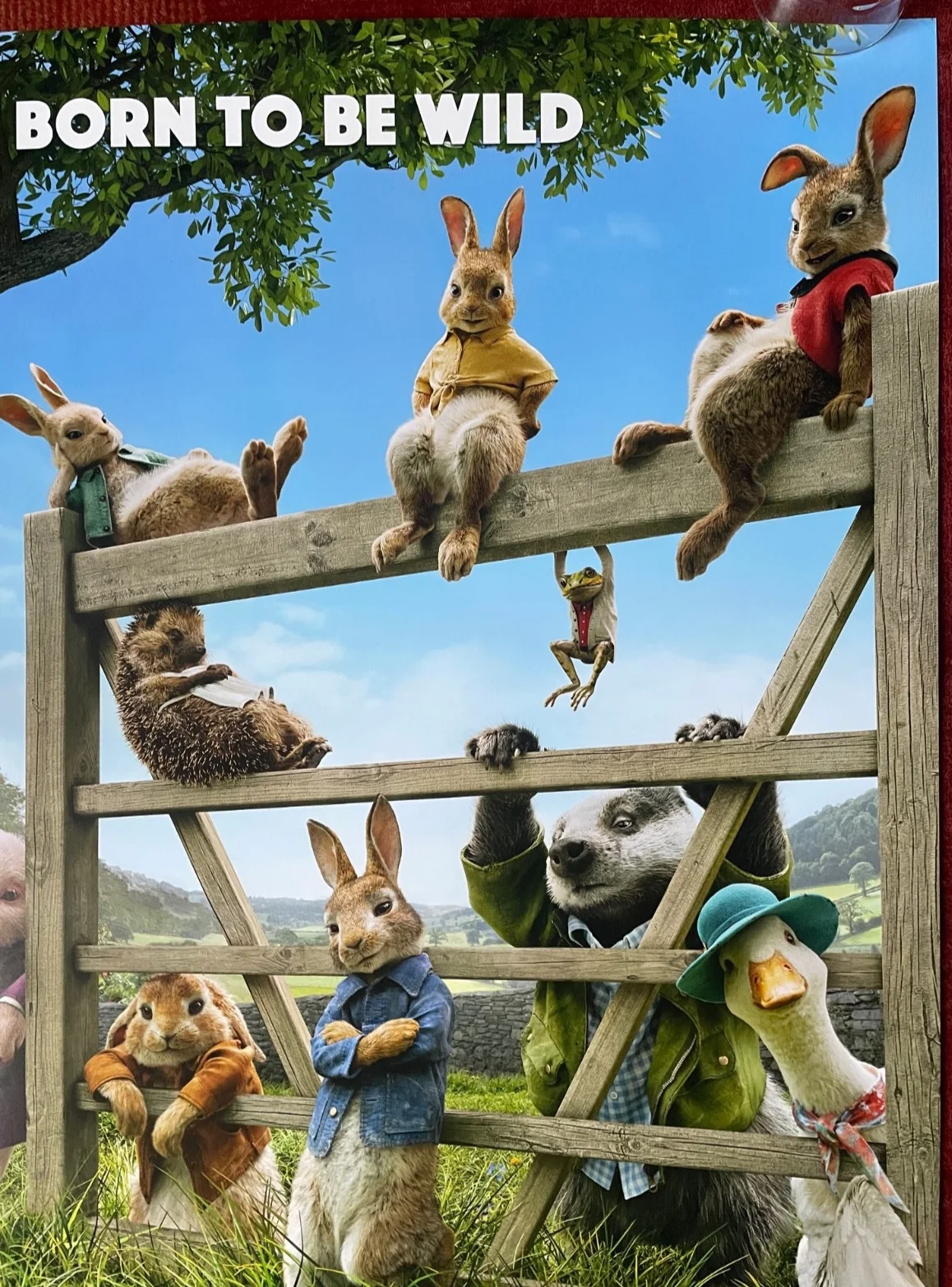 PETER RABBIT (2018) Original UK One Sheet Movie Film Poster, изображение 3