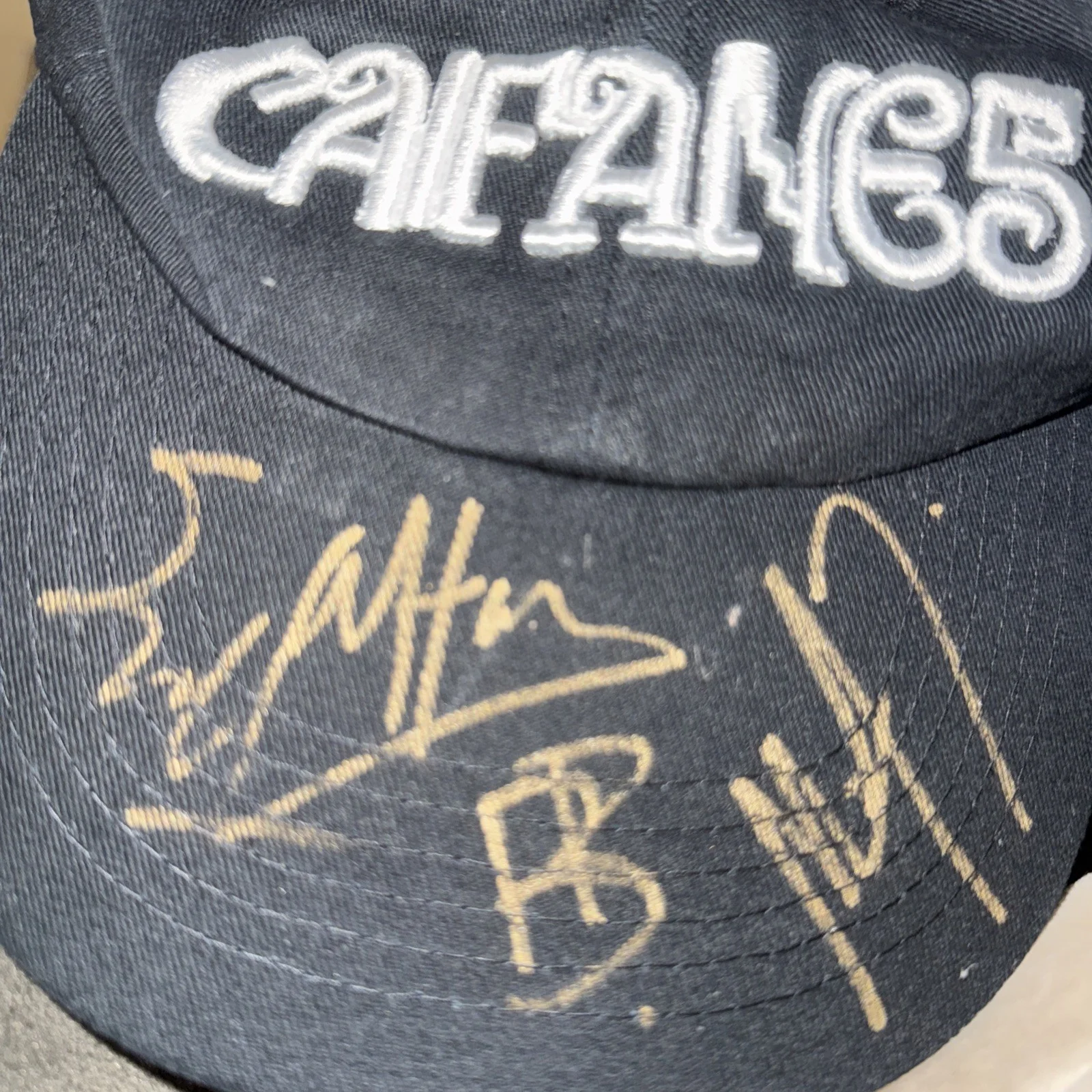 Caifanes Rock Band Jaguars Tour Concert Hat 2024 Signed by members, image 4