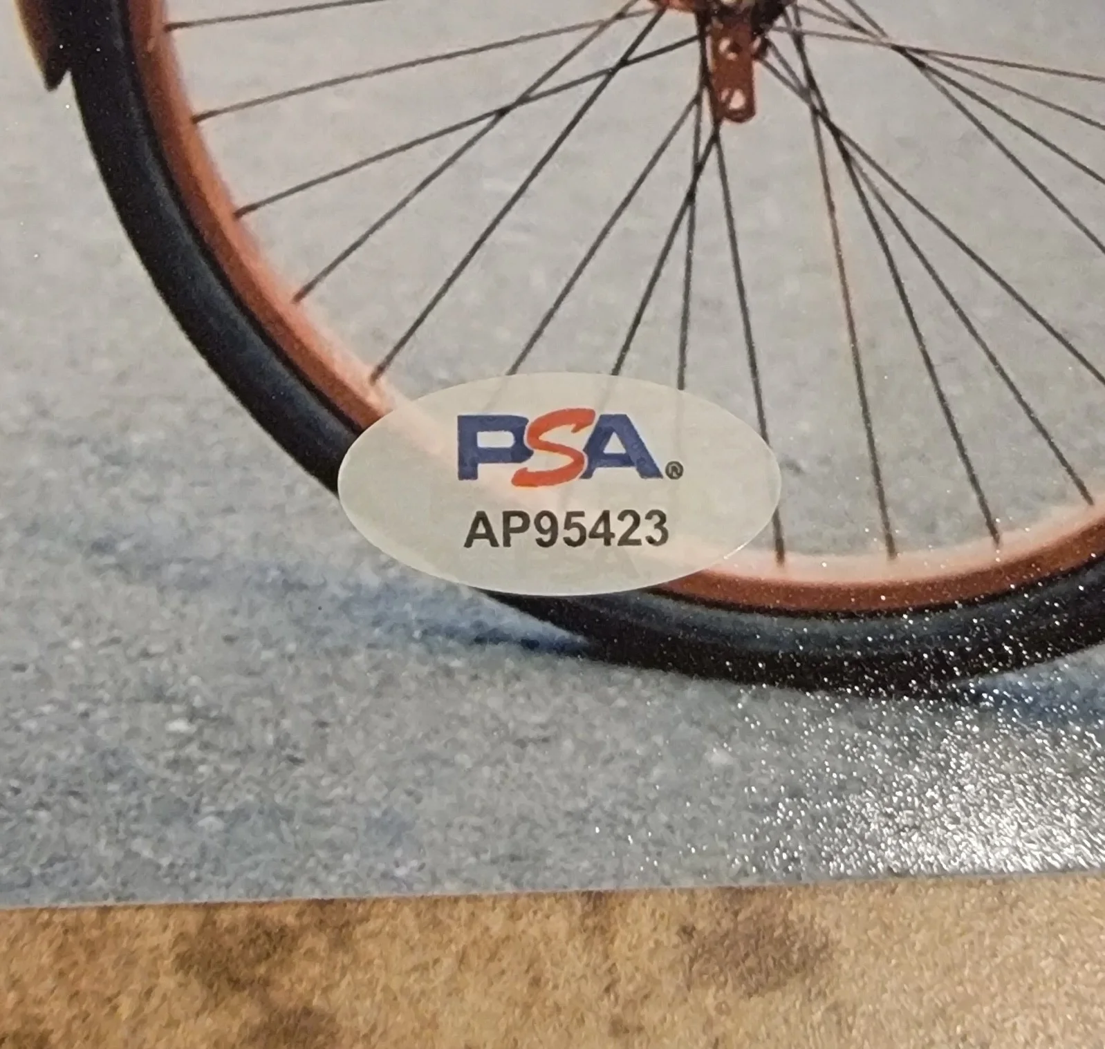Zooey Deschanel — Zooey Deschanel signed 8x10 photo PSA DNA autograph photoshoot bicycle, изображение 2
