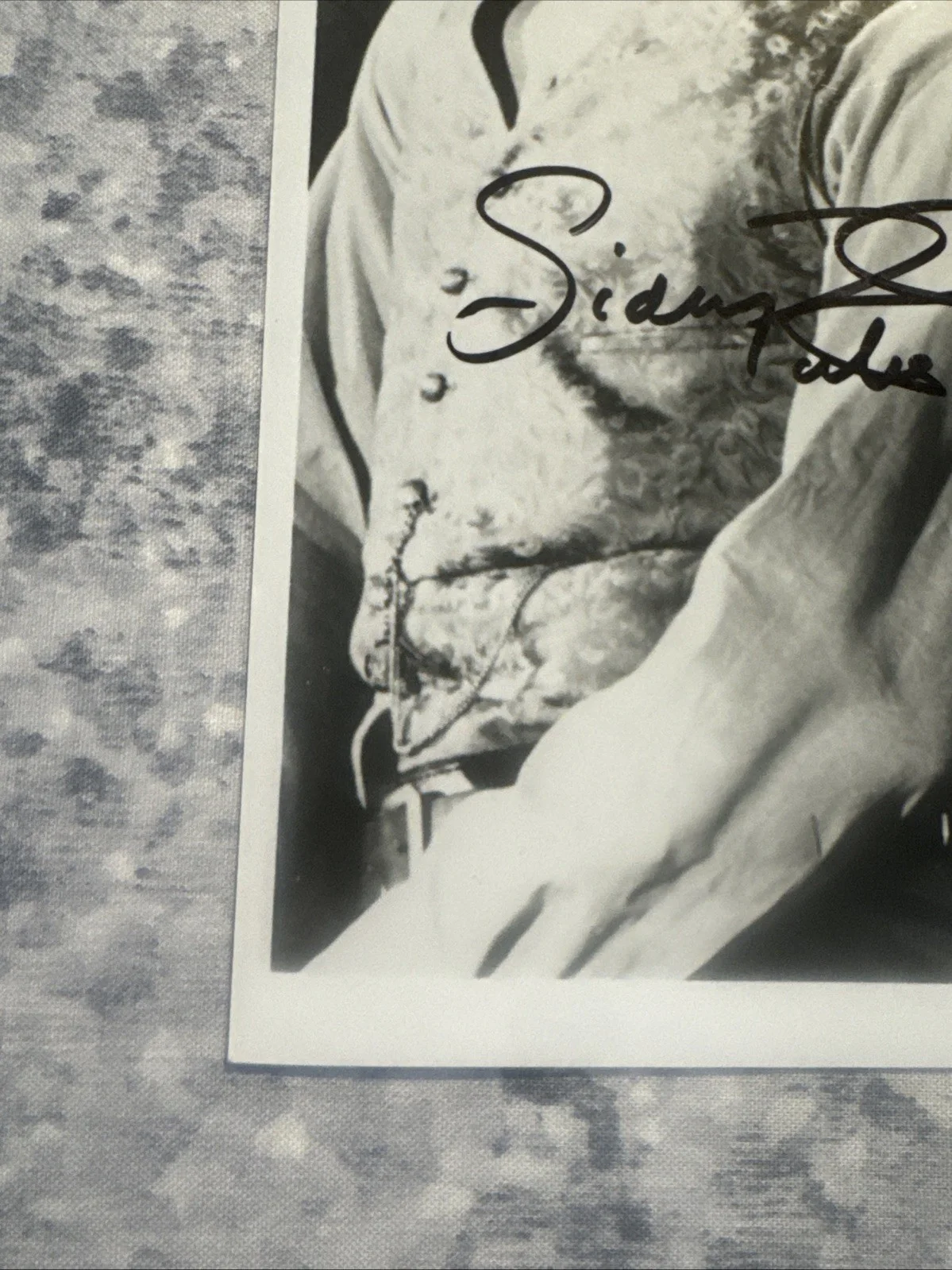 8 X 10 Autographed Photo Sidney Poitier & James Garner Duel At Diablo 1966 Movie, изображение 5