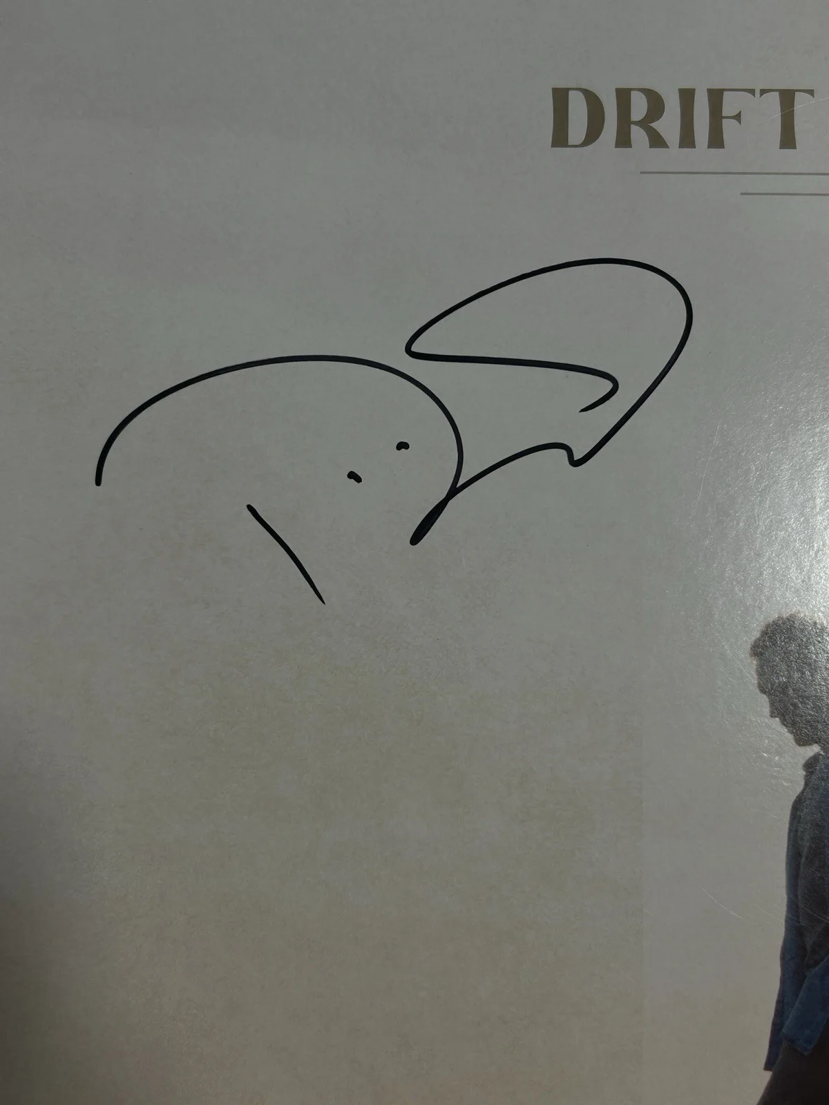 Autographed Drift Back LP signed by Phillip Phillips Vinyl JSA certified, image 3