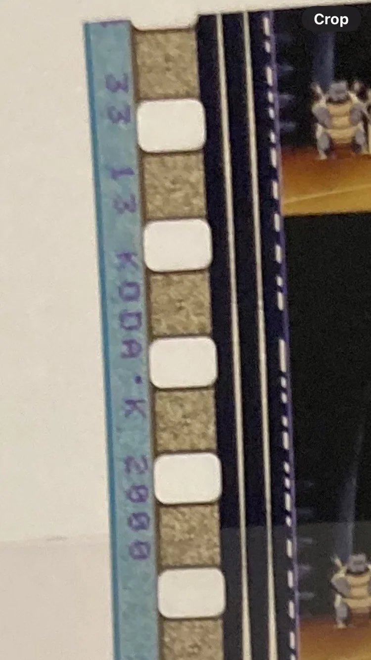 Pokémon 35mm Film cell venusaur blastoise, image 3