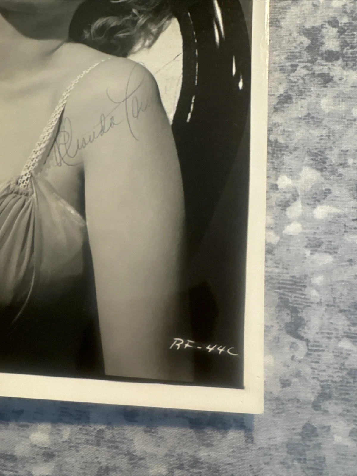 8 X 10 Photo Rhonda Fleming Autograph Queen Of Technicolor Hollywood Movie Still, изображение 4