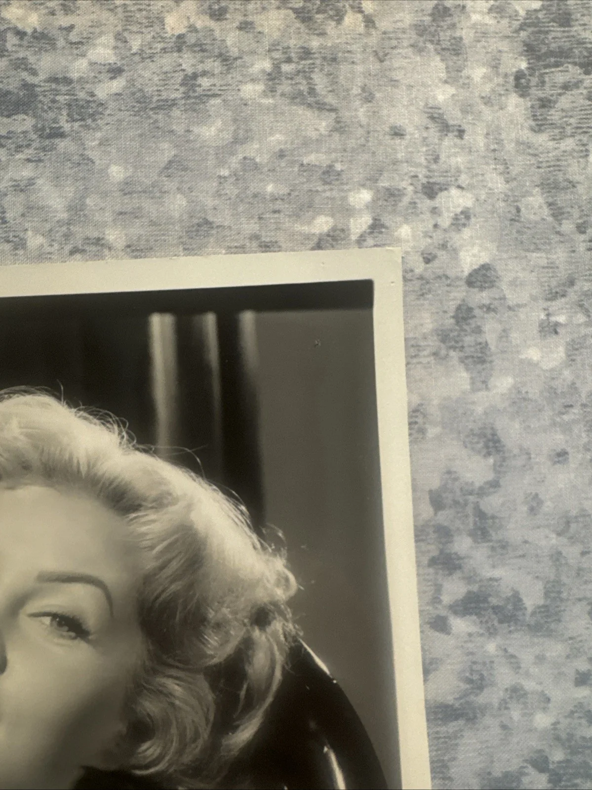 8 X 10 Photo Rhonda Fleming Autograph Queen Of Technicolor Hollywood Movie Still, изображение 5