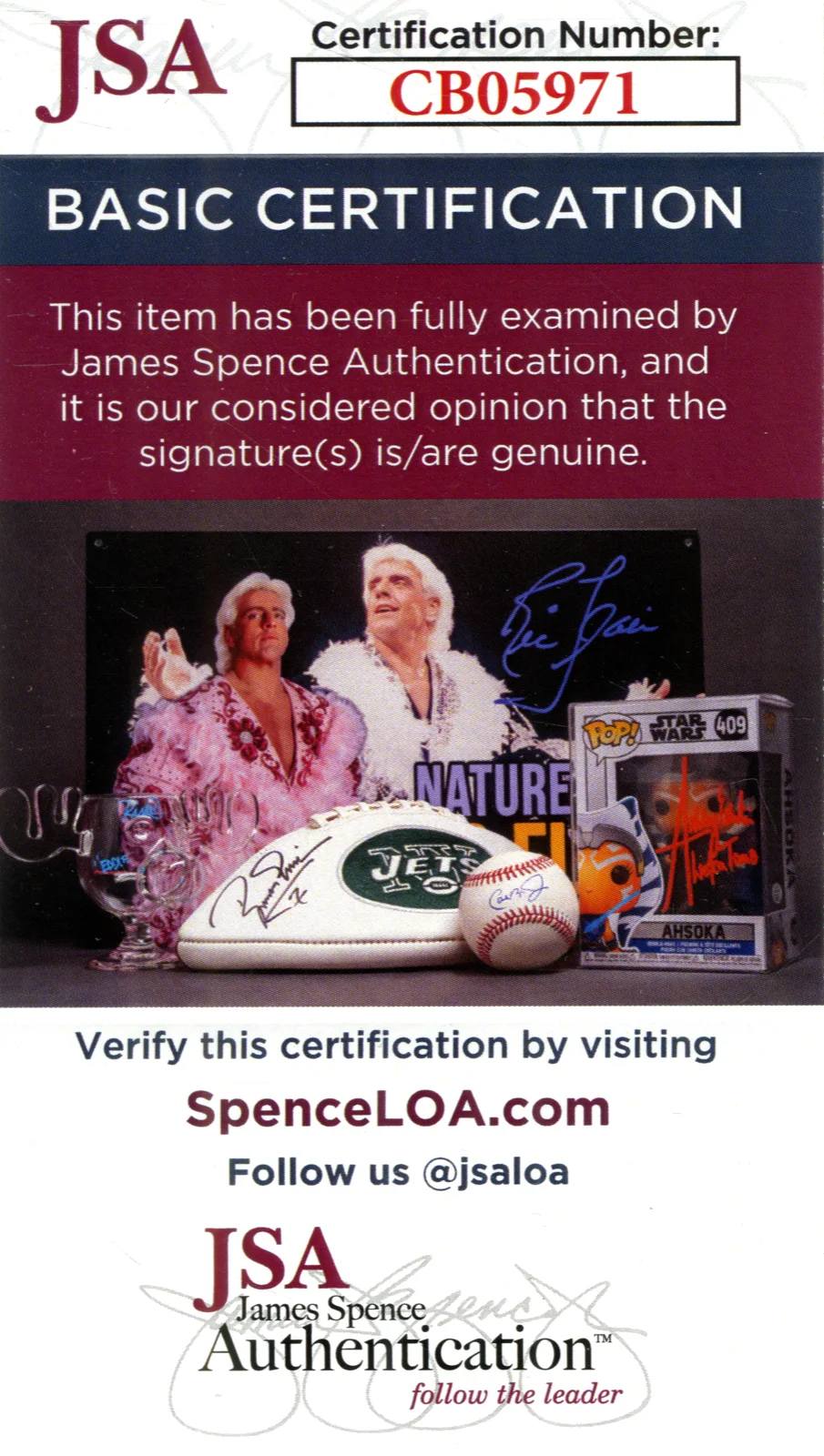 W@W STEVEN SEAGAL SIGNED AUTHENTIC AUTOGRAPH 8X10 PHOTO ABOVE THE LAW JSA COA, image 2