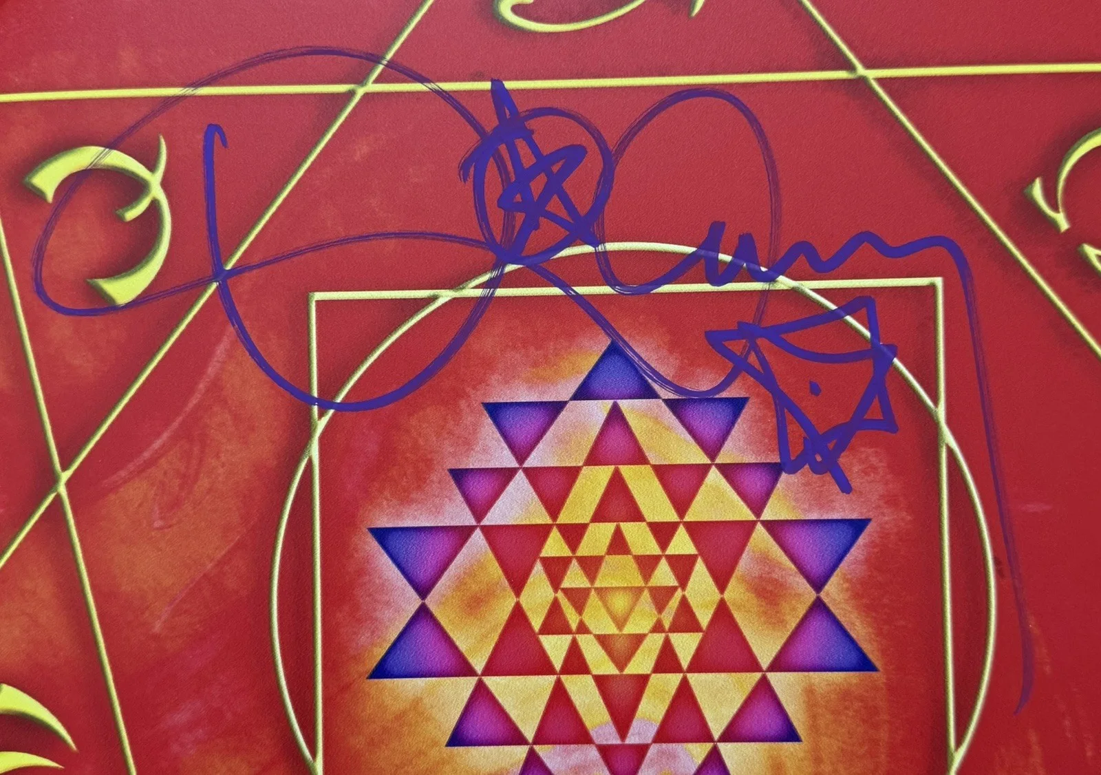 Danny Carey Signed Drumhead Orange Limited EditionAutographed 14” Tool Drummer, image 2