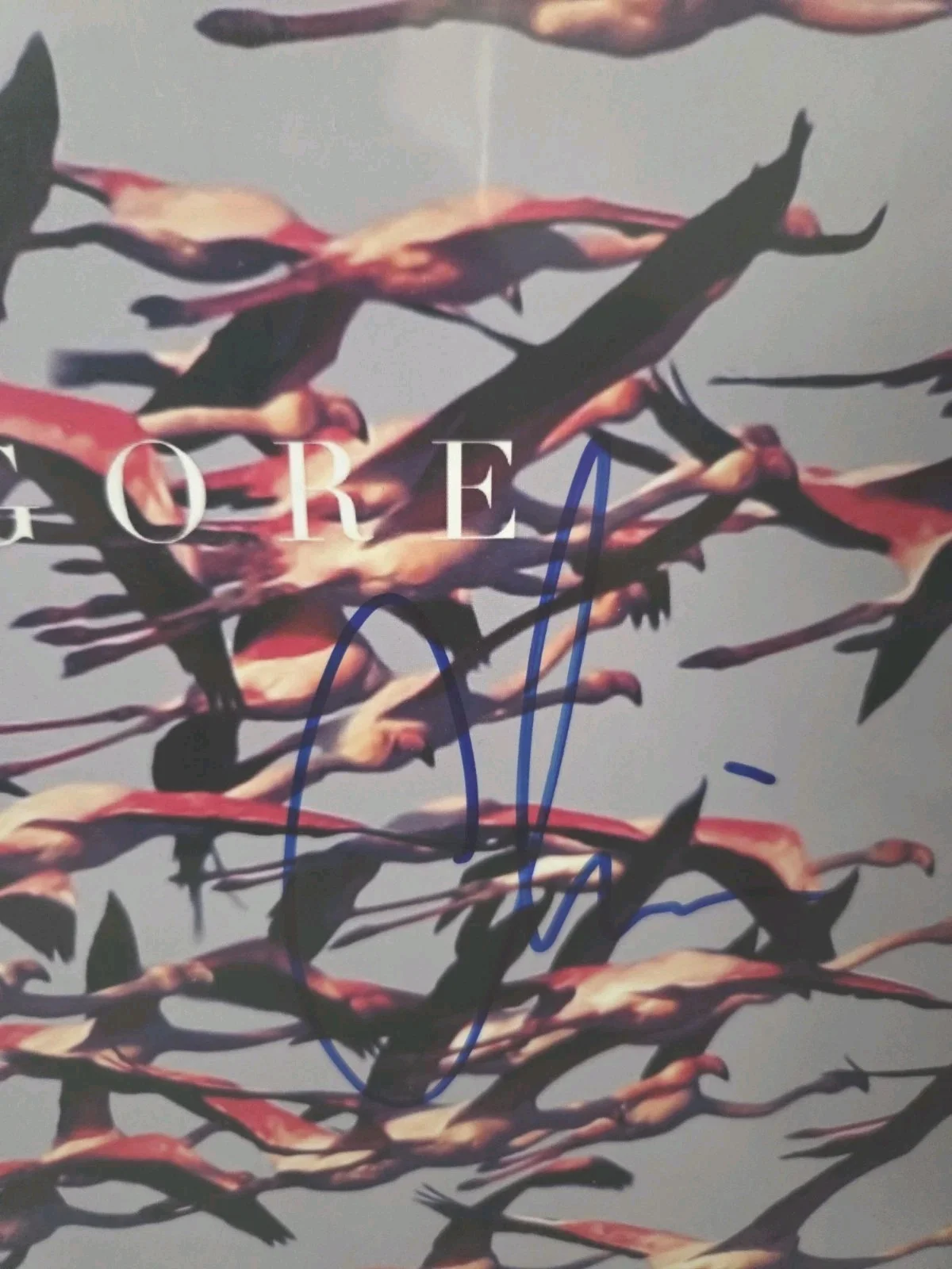 Deftones Chino Moreno And Stef Signed Gore Vinyl Beckett Cert, image 3