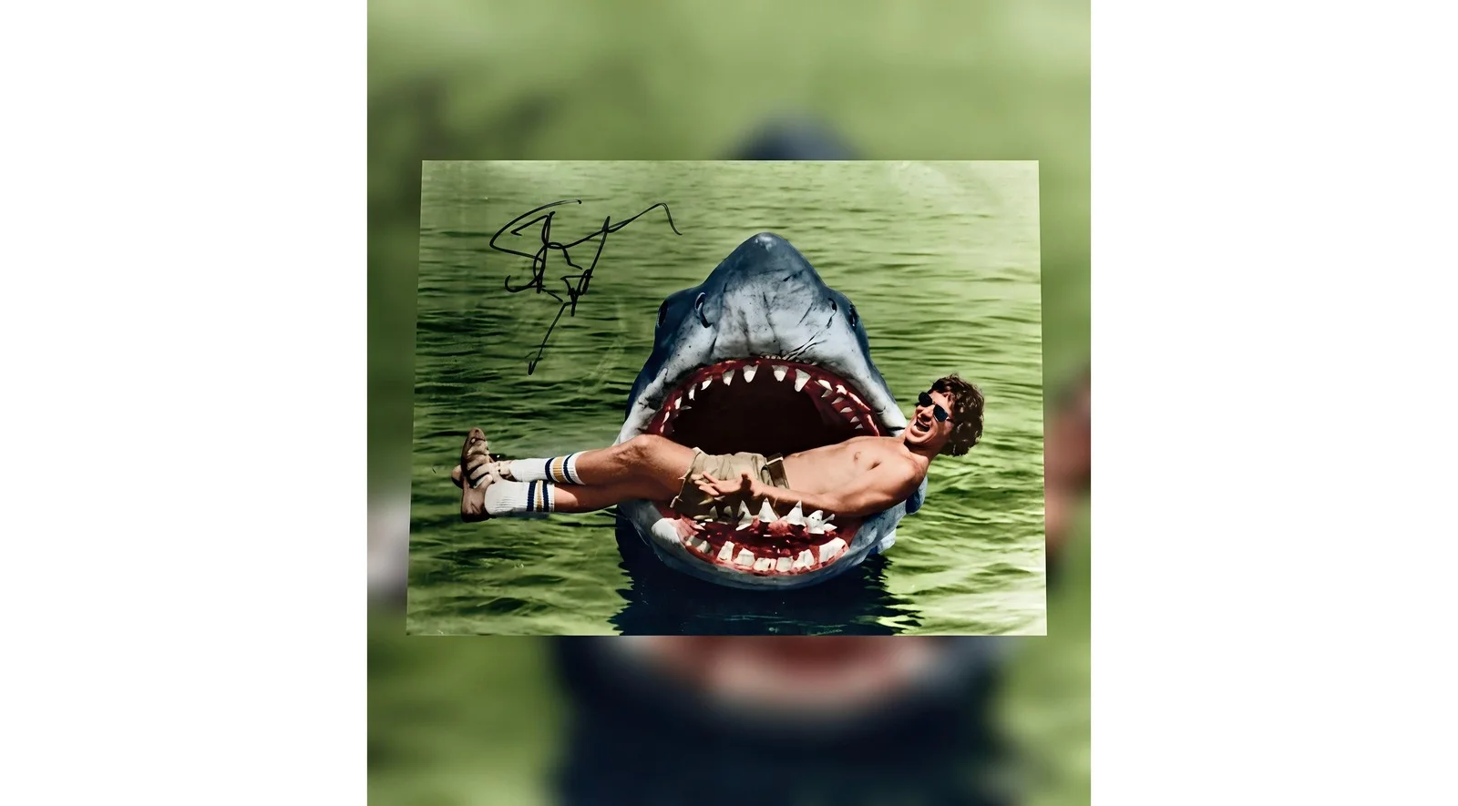 Steven Spielberg — Rare Steven Spielberg Signed Jaws Black and White 16x12 Collectible Photo