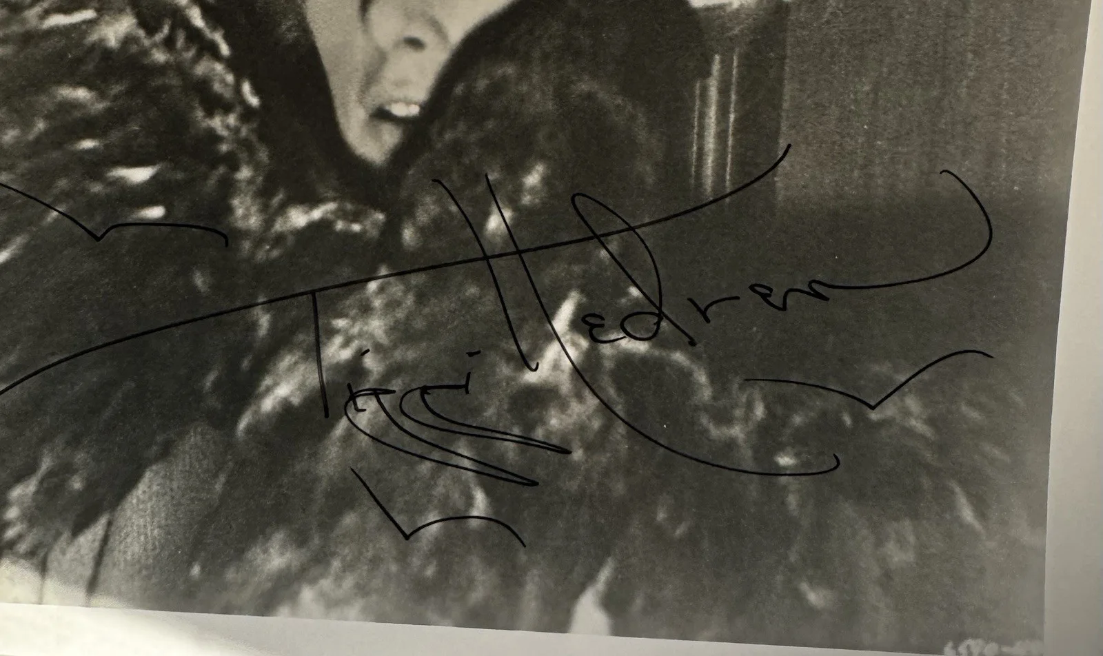 Tippy Hedren — Tippi Hedren Signed 8X10 Photo The Birds Hitchcock Movies COA Melanie Griffith, изображение 3