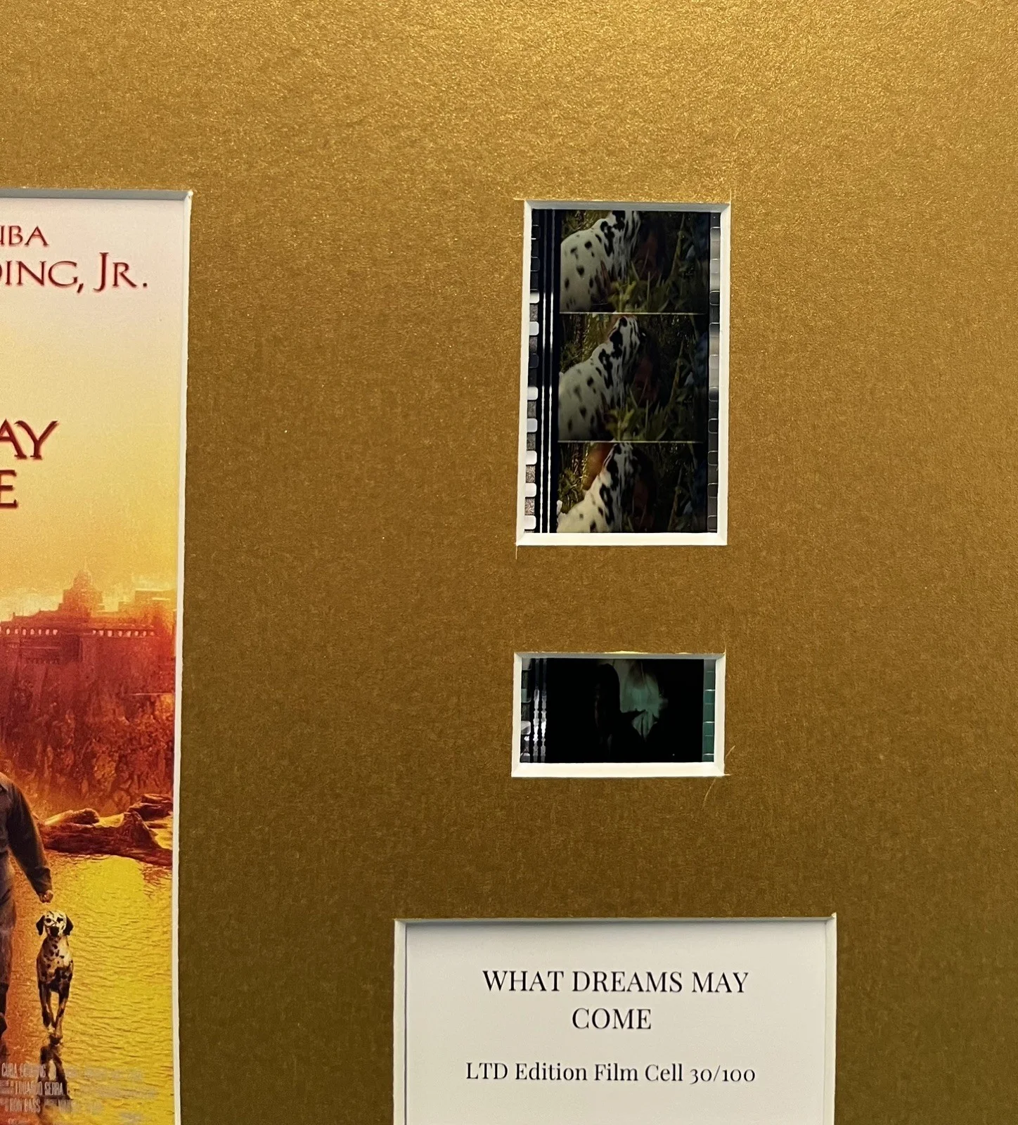 WHAT DREAMS MAY COME . 35mm Film Cell Mounted Display, image 2