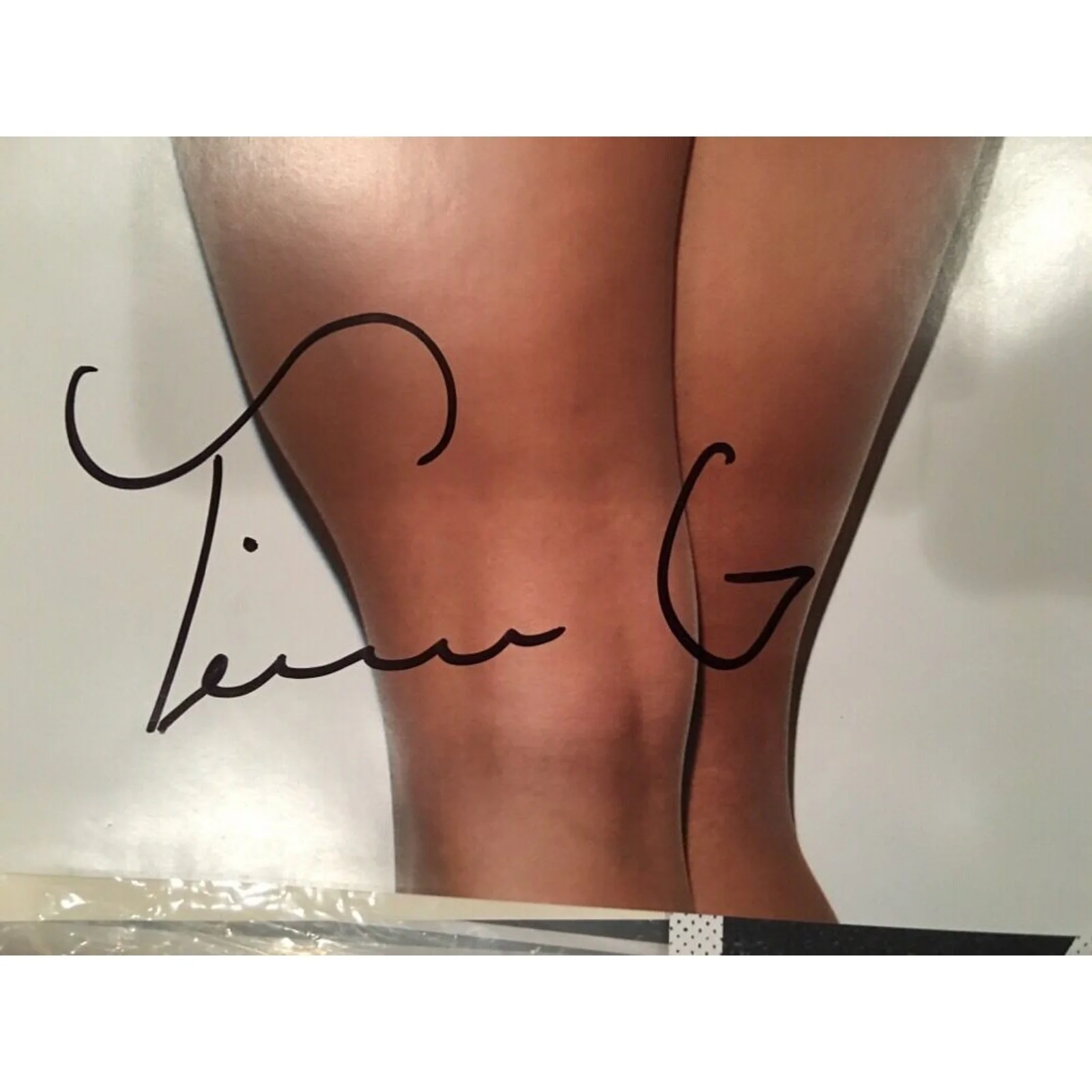 Tianna Gregory Shay Maria Signed Poster Rare 24x36 Model Photography Van Styles, изображение 2