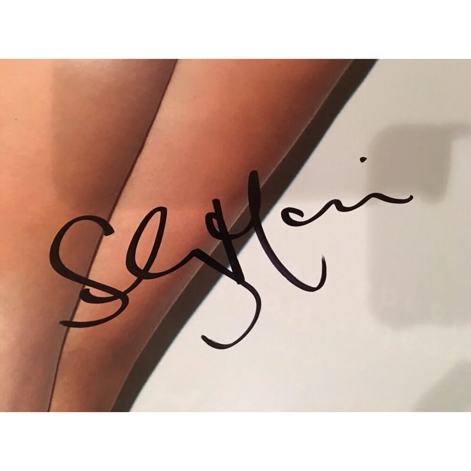 Tianna Gregory Shay Maria Signed Poster Rare 24x36 Model Photography Van Styles, изображение 3