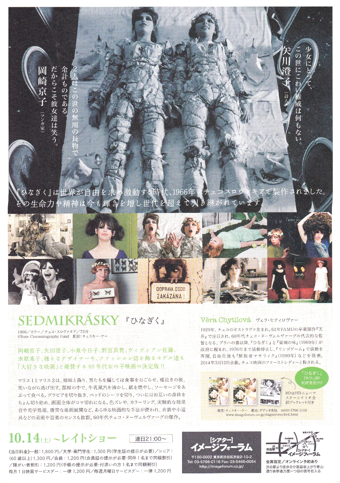 Daisies - Vera Chytilova Original Japan Chirashi B5 Mini Poster/Flyer (2014), image 2