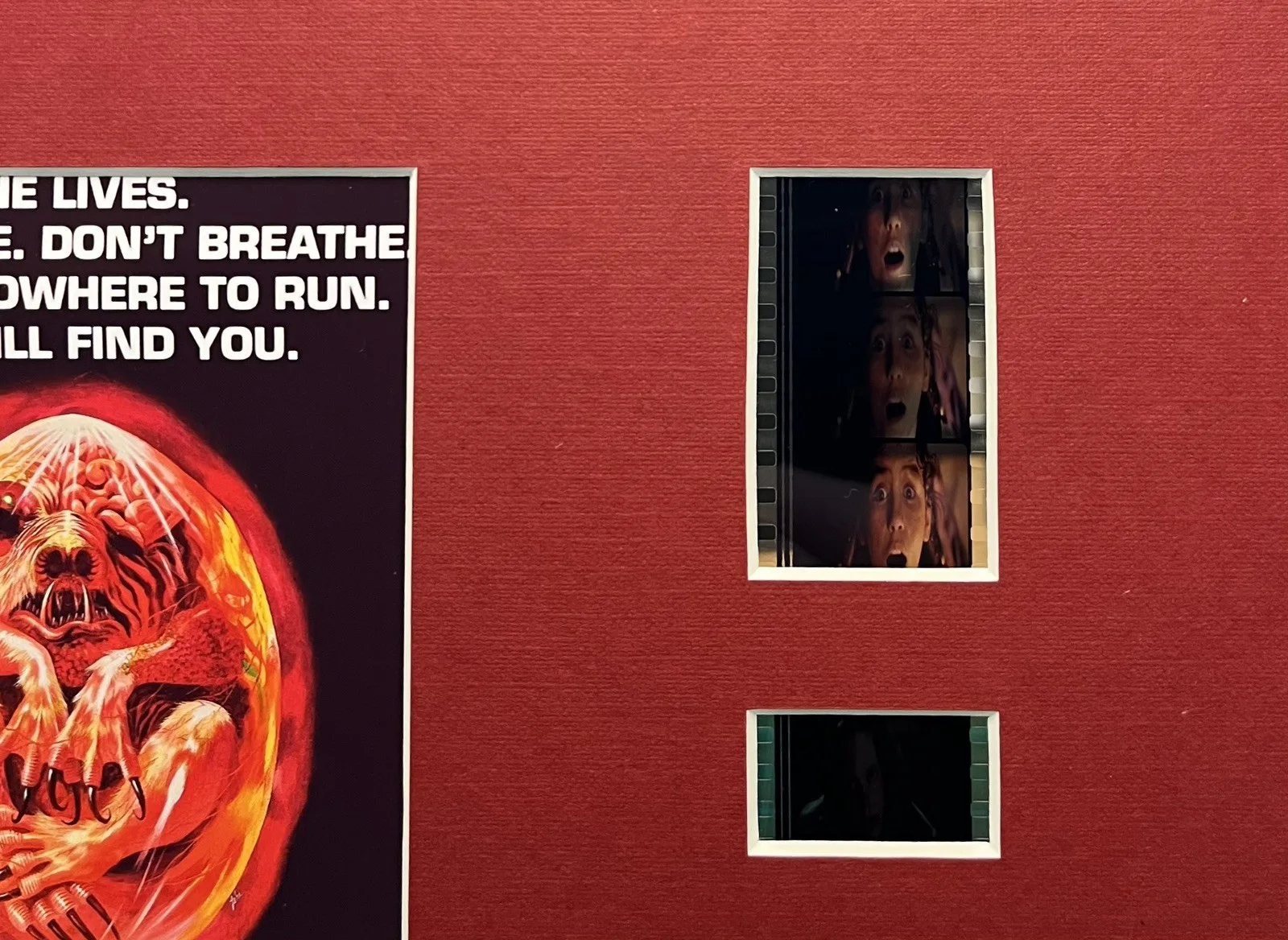 PROPHECY The Monster Movie. 35mm Film Cell Mounted Display, изображение 2