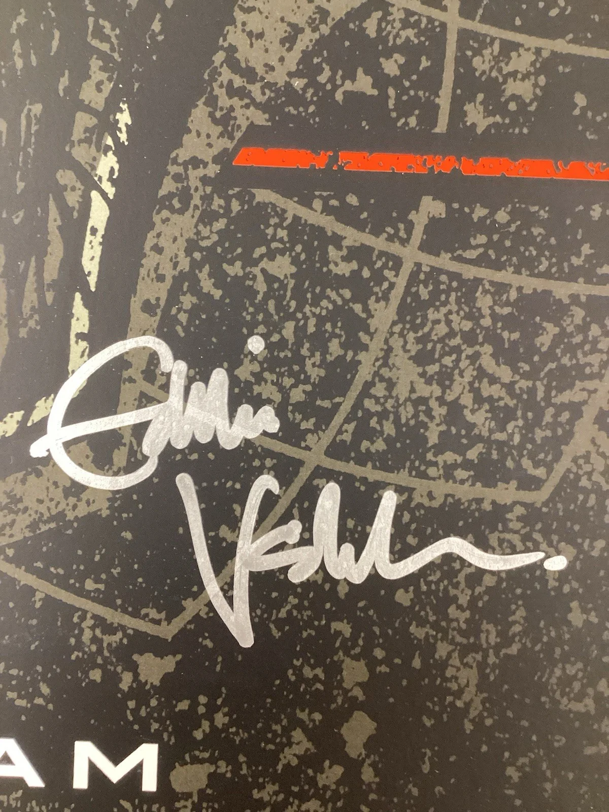 Eddie Vedder Signed Poster 2011 Hamilton Canada Pearl Jam Autograph PSA/DNA, image 2