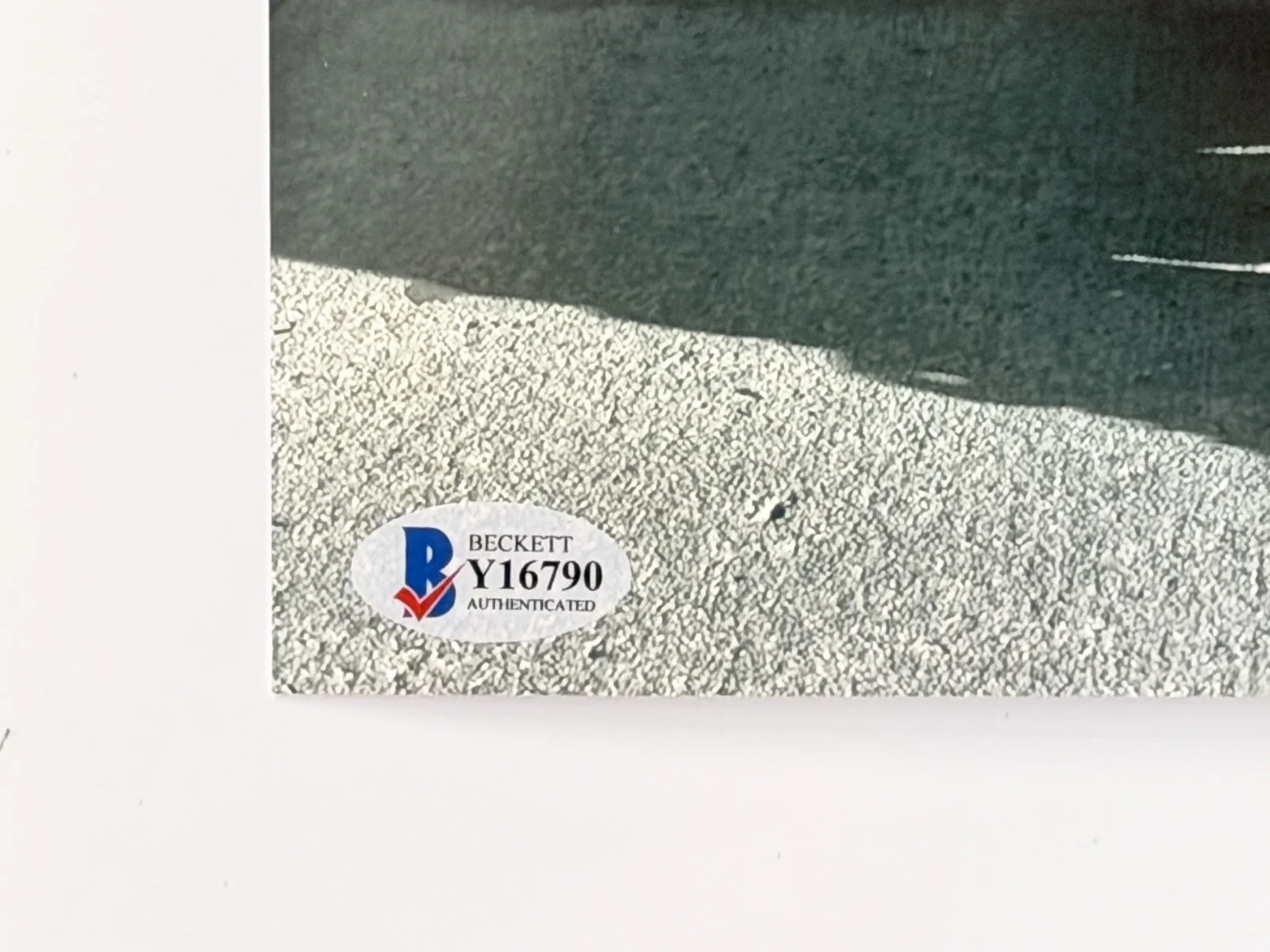 Trey Anastasio — Trey Anastasio Signed 8x10 Photo Phish Auto Autographed BAS Beckett COA Y16790, изображение 4