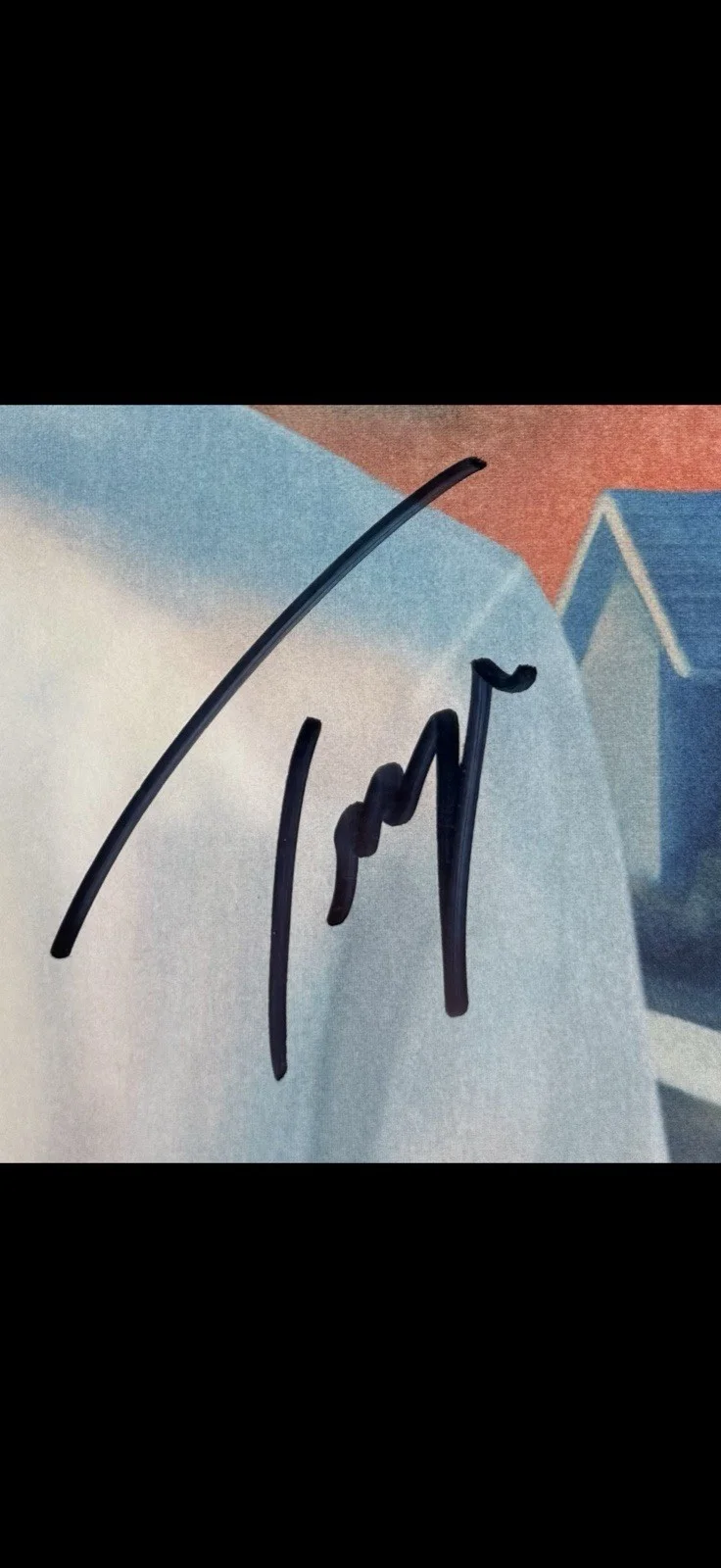 Troye Sivan signed/autographed “Blue Neighborhood”Vinyl Record, image 2