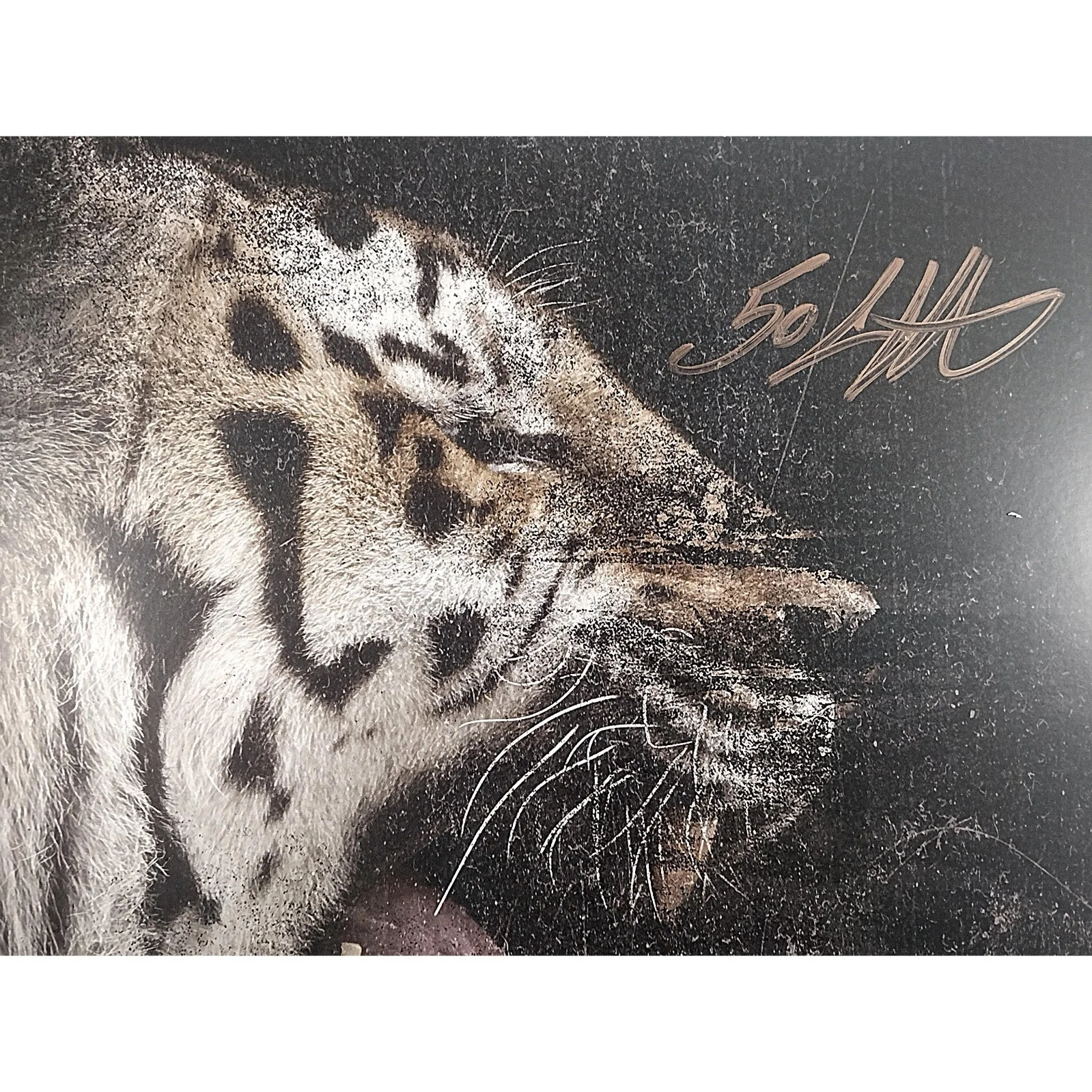 50 Cent — 50 Cent Signed Animal Ambition 12 by 12 Album Flat Gold JSA COA Rap Hip Hop Auto, изображение 2