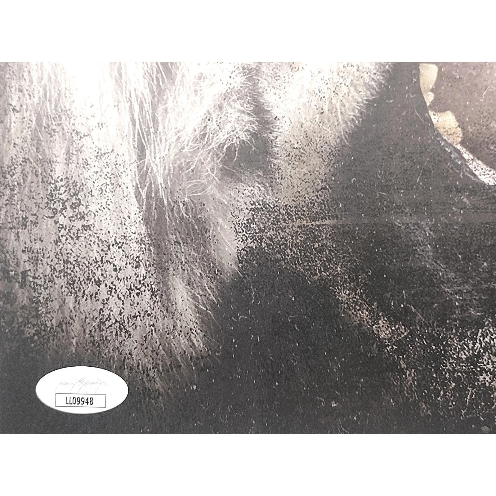 50 Cent — 50 Cent Signed Animal Ambition 12 by 12 Album Flat Gold JSA COA Rap Hip Hop Auto, изображение 3