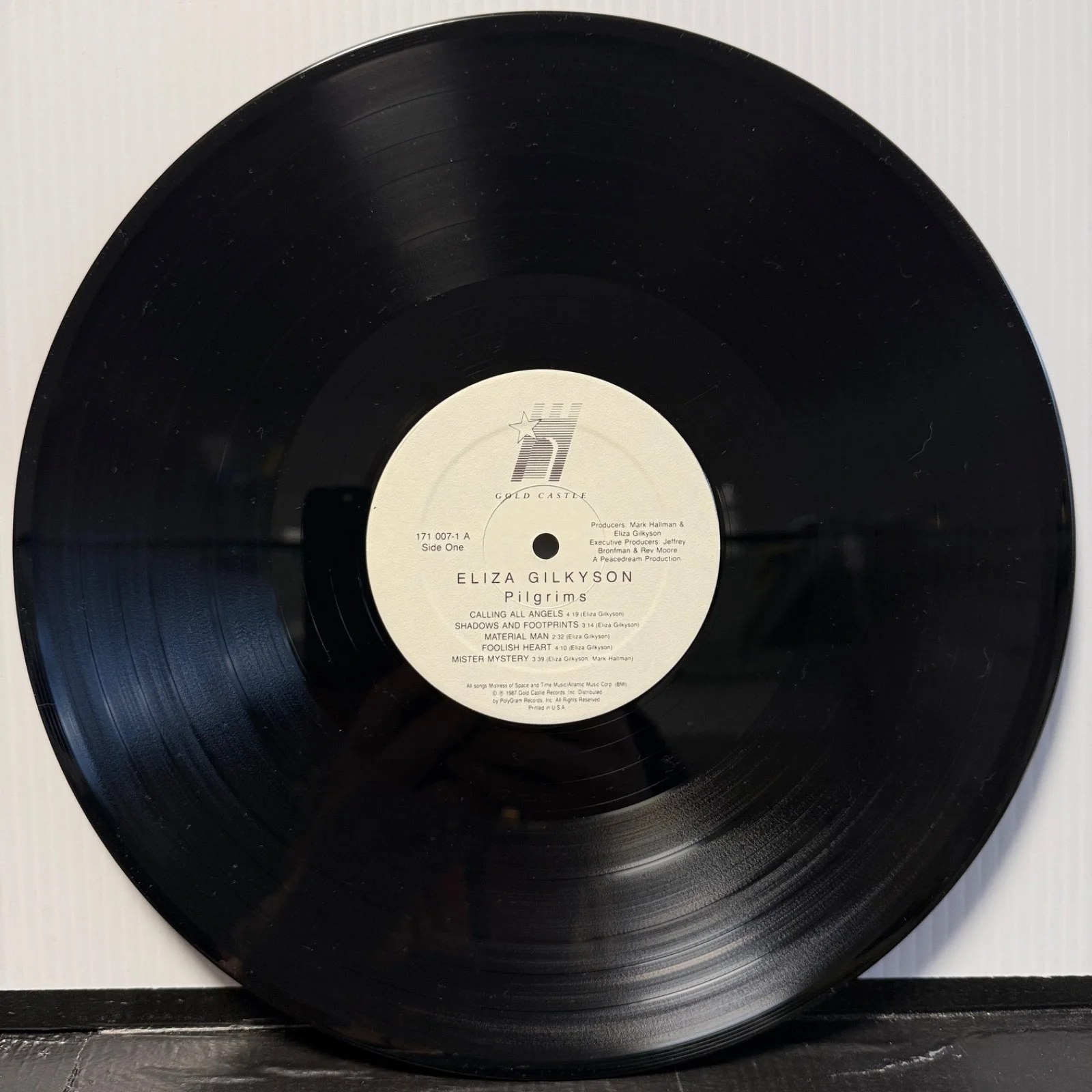 AUTOGRAPHED! ELIZA GILKYSON "Pilgrims" Gold Castle vinyl record 171 007-1 USA NM, изображение 4
