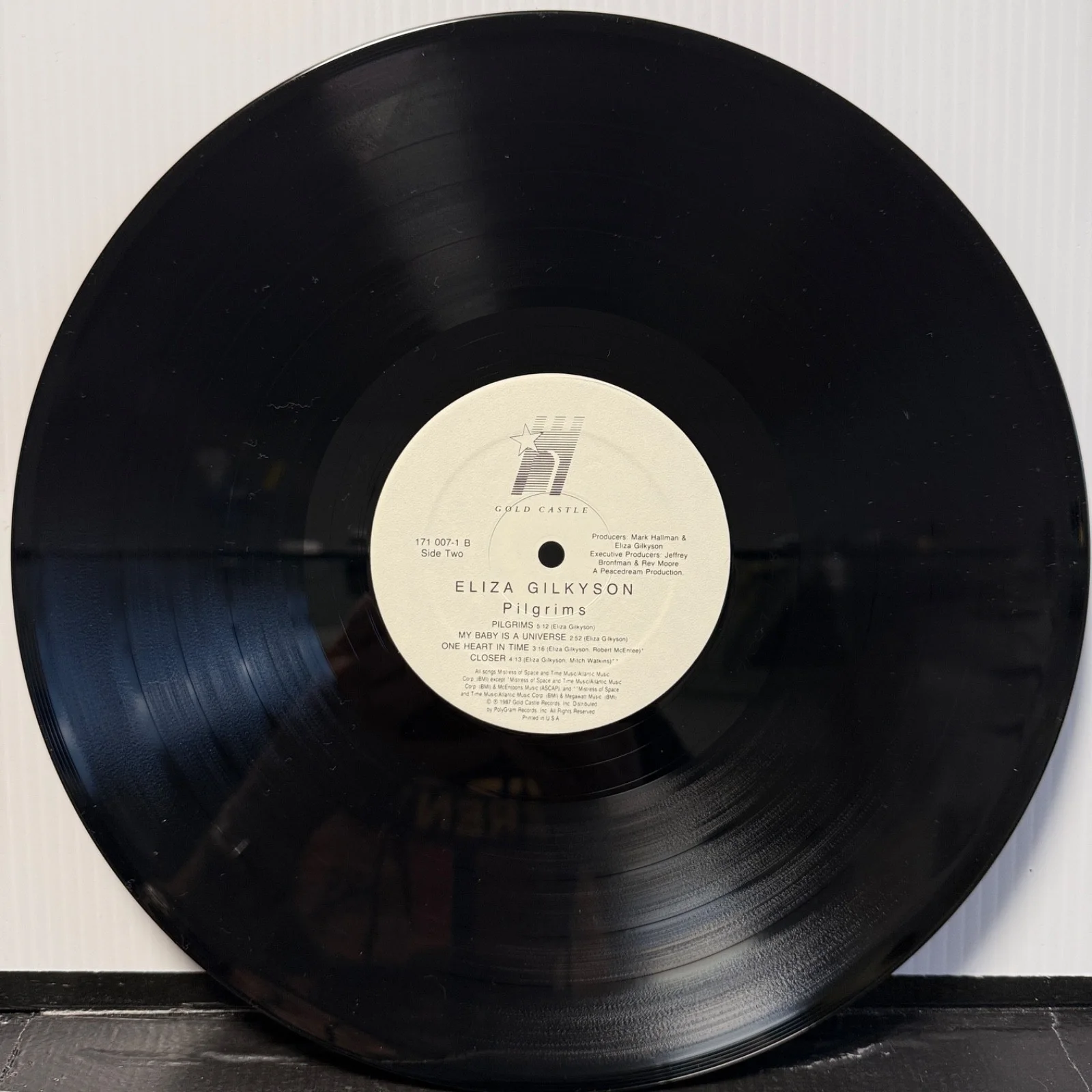 AUTOGRAPHED! ELIZA GILKYSON "Pilgrims" Gold Castle vinyl record 171 007-1 USA NM, изображение 5