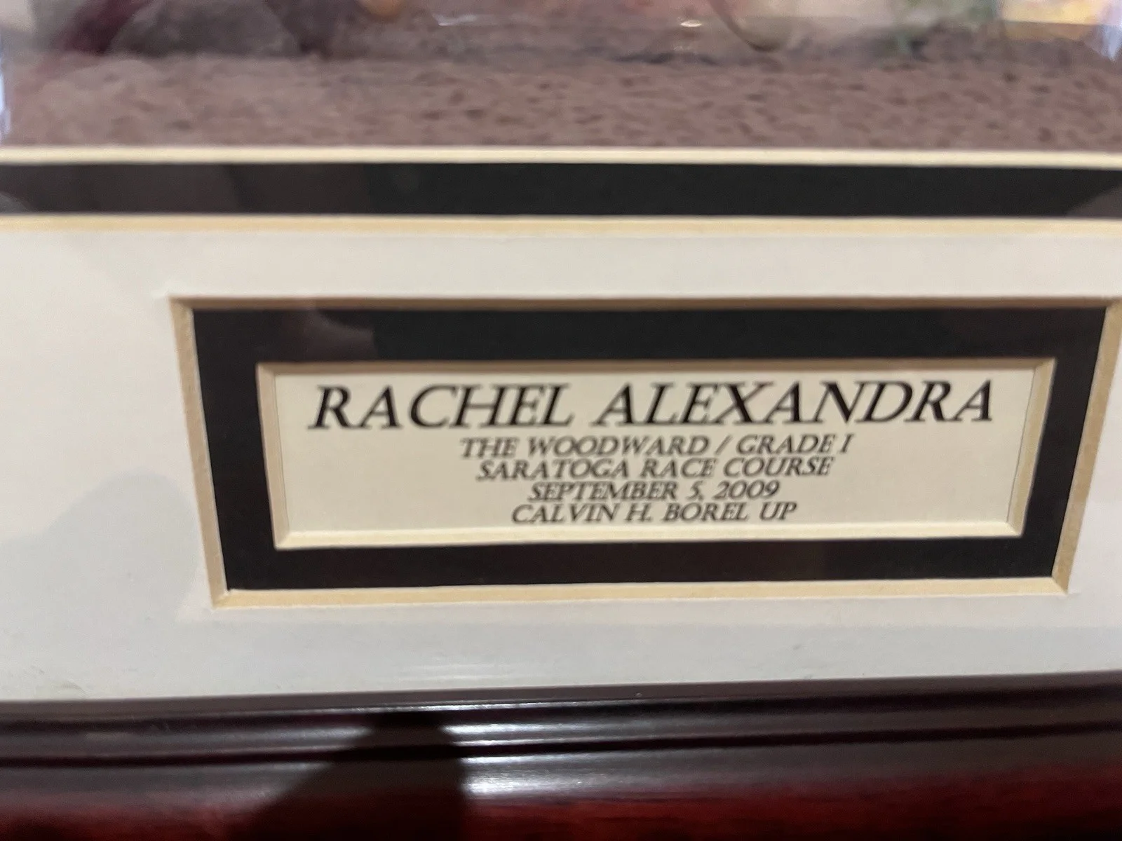 Photo of Rachel Alexandra Winning Woodward With Calvin Borel Signature 17”x14”, изображение 2