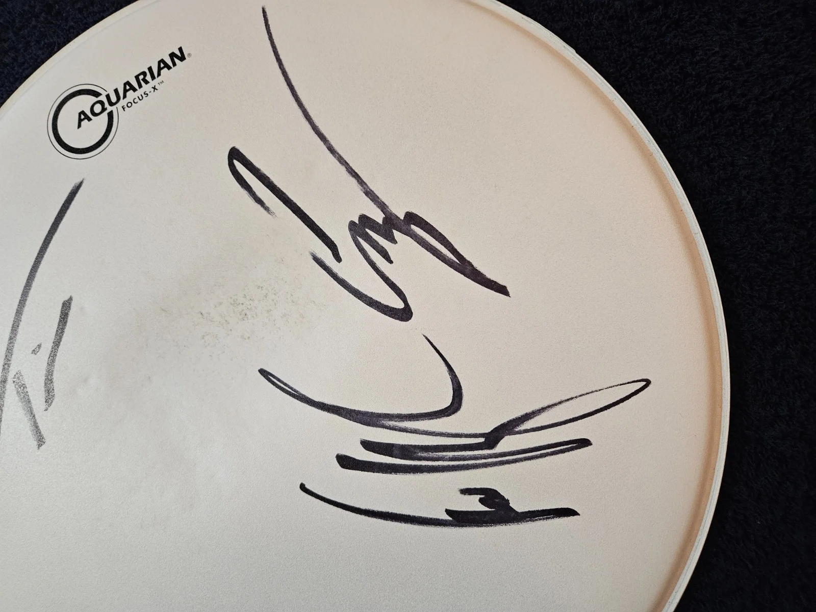 Primus Stage used Signed Drumhead 14", image 2