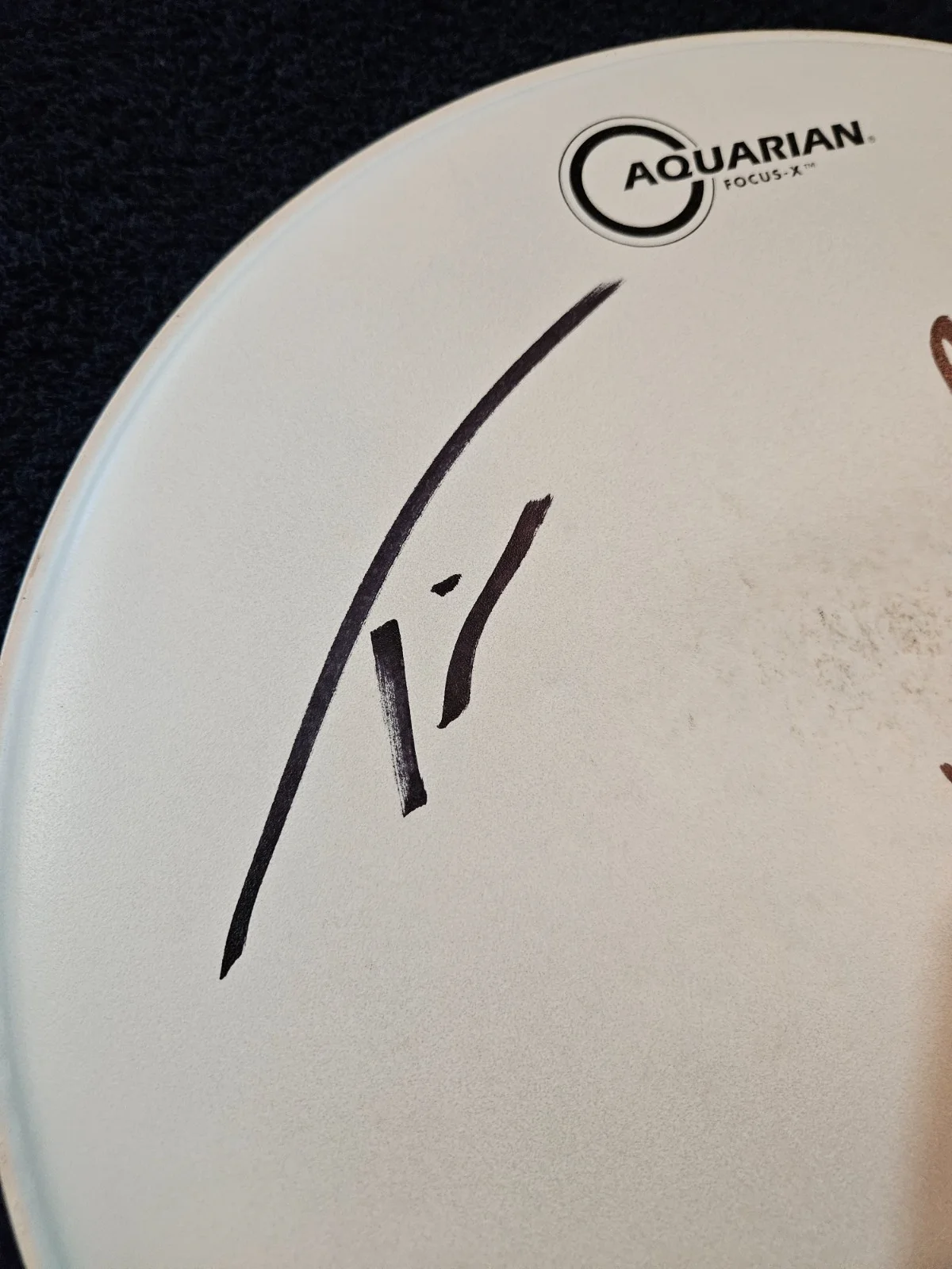 Primus Stage used Signed Drumhead 14", image 3