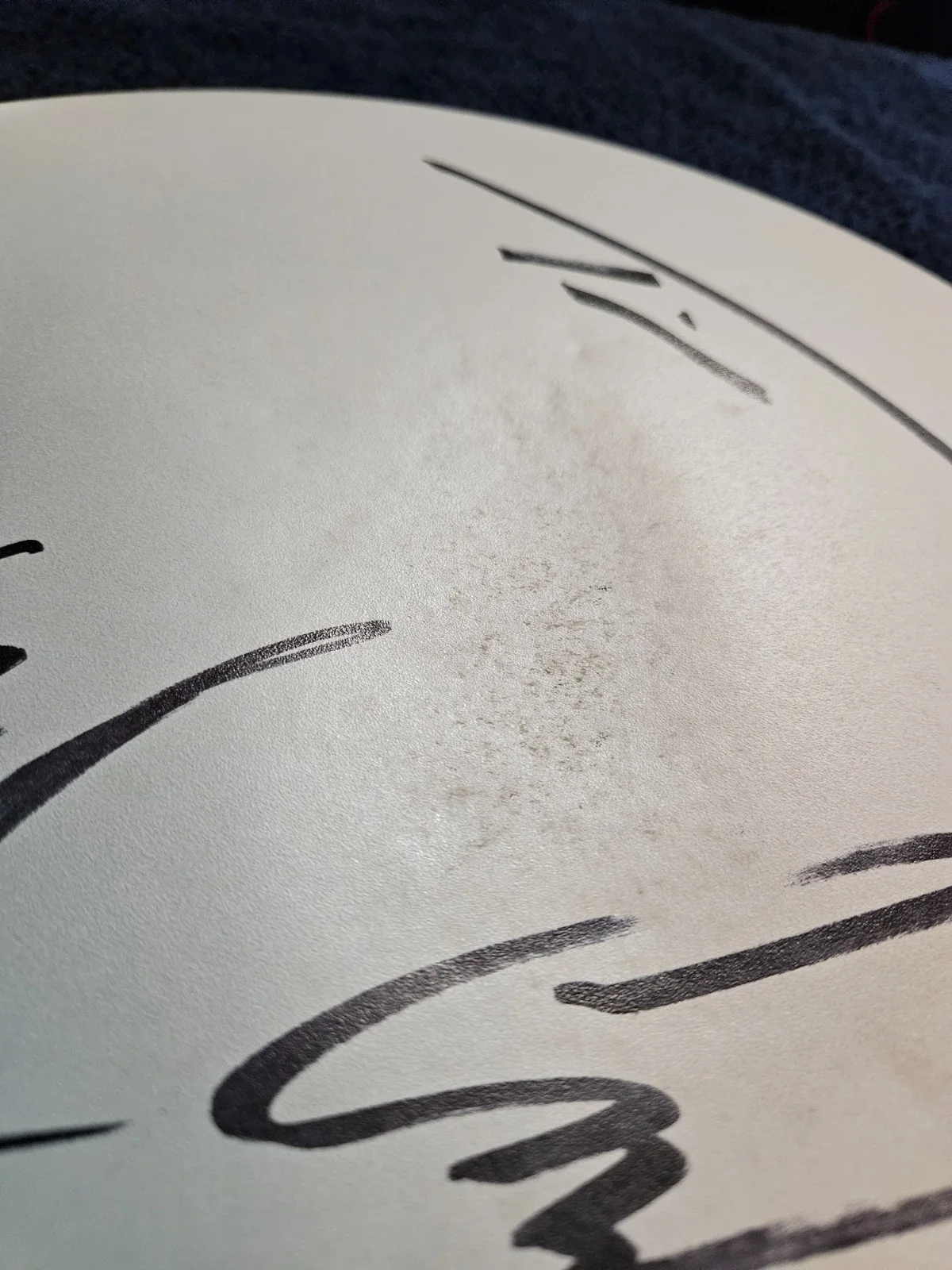 Primus Stage used Signed Drumhead 14", image 4