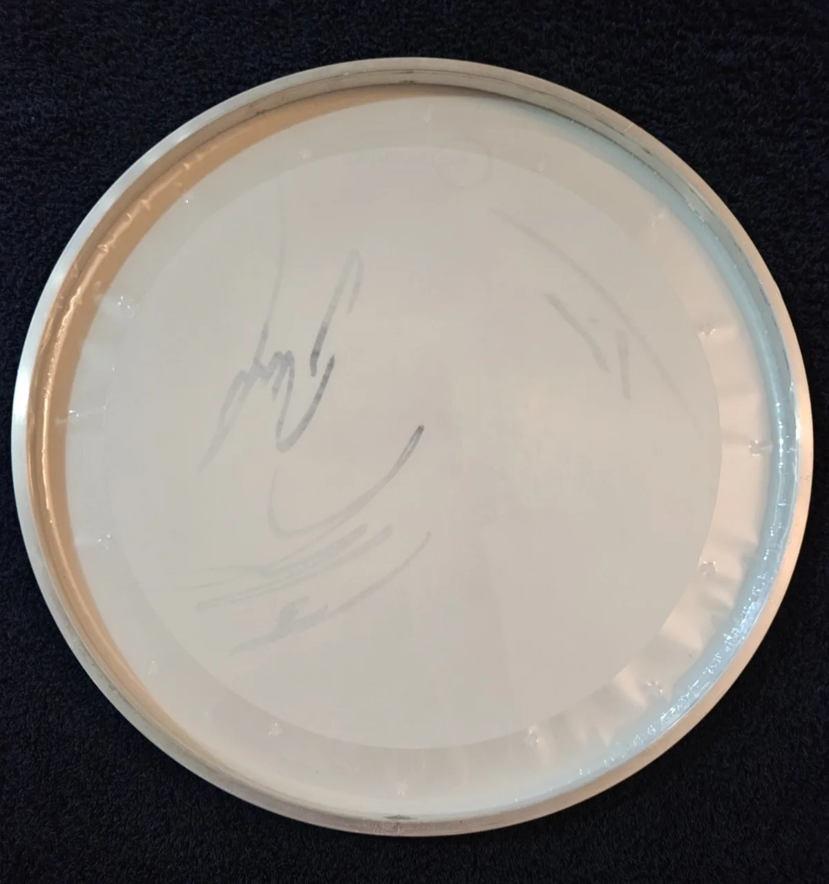 Primus Stage used Signed Drumhead 14", image 5