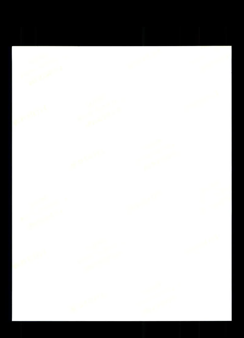 Angelina Jolie — Angelina Jolie Beckett BAS Signed 8x10 Photo Autograph Tomb Raider, изображение 2