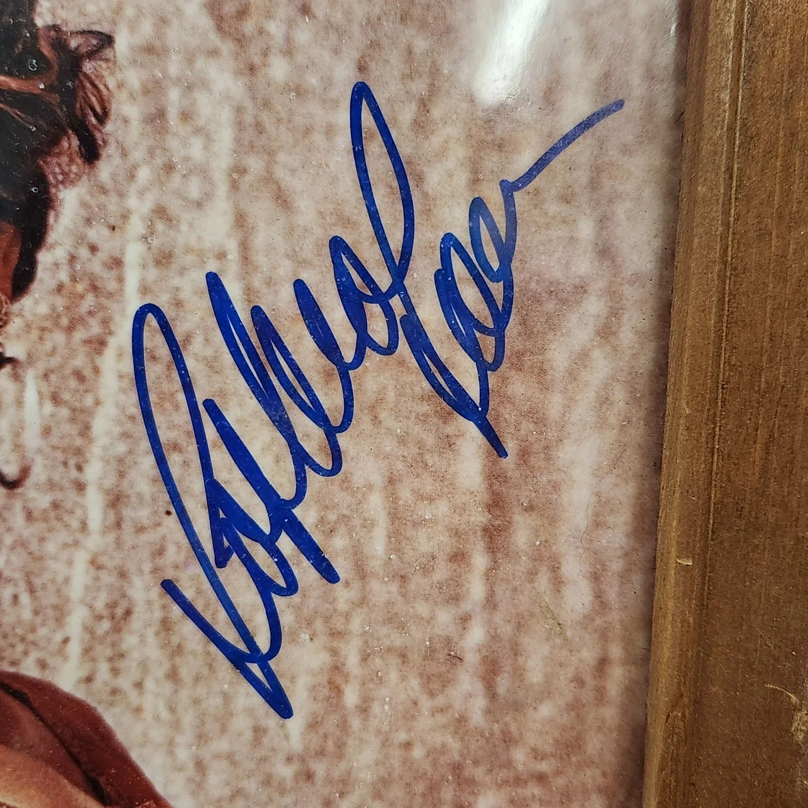 sophia loren — Vintage 1957 Signed Framed Photograph Italian Actress Sophia Loren, изображение 4