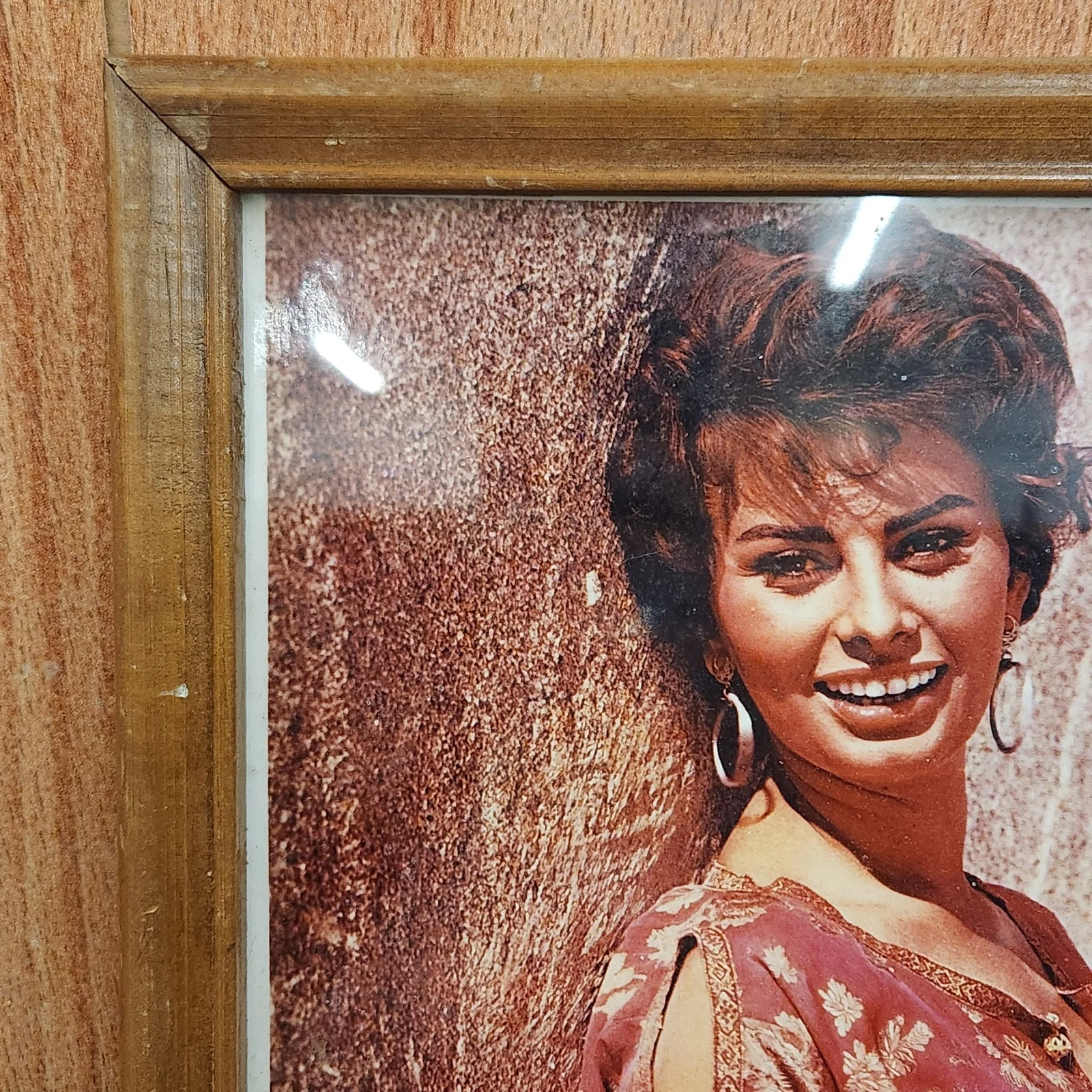 sophia loren — Vintage 1957 Signed Framed Photograph Italian Actress Sophia Loren, изображение 5