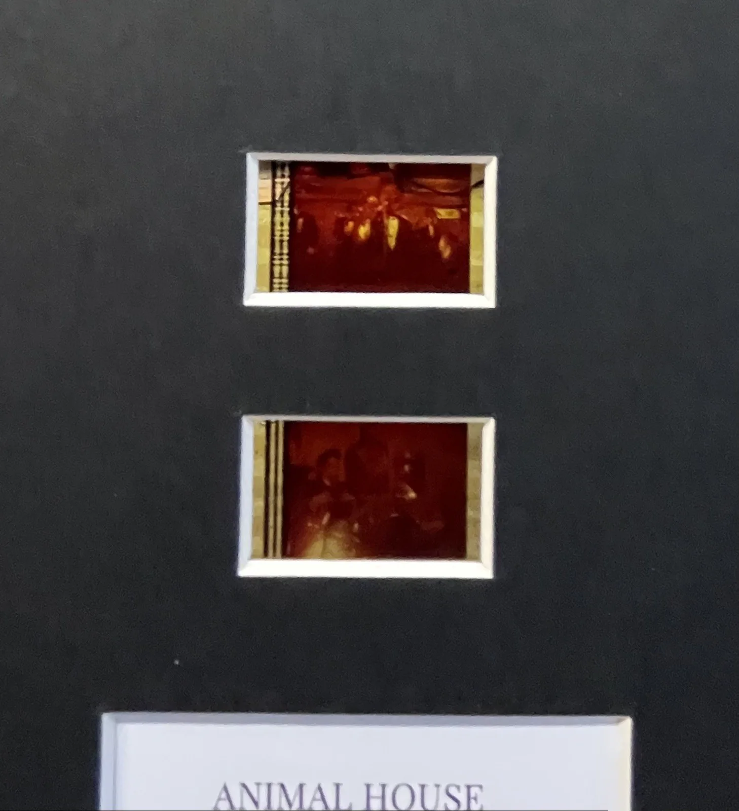 NATIONAL LAMPOON’S ANIMAL HOUSE . 35mm Film Cell Mounted Display, image 2
