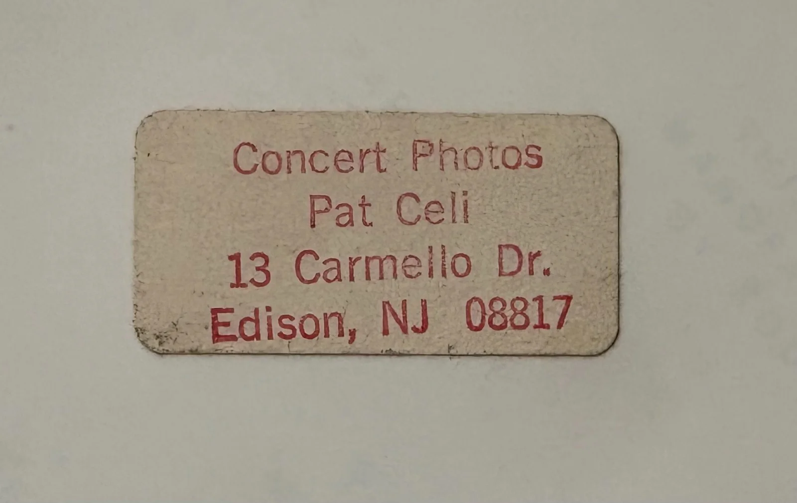 Alice Cooper Vintage Signed 8x10 Original Pat Celi Concert Photograph JSA, image 2