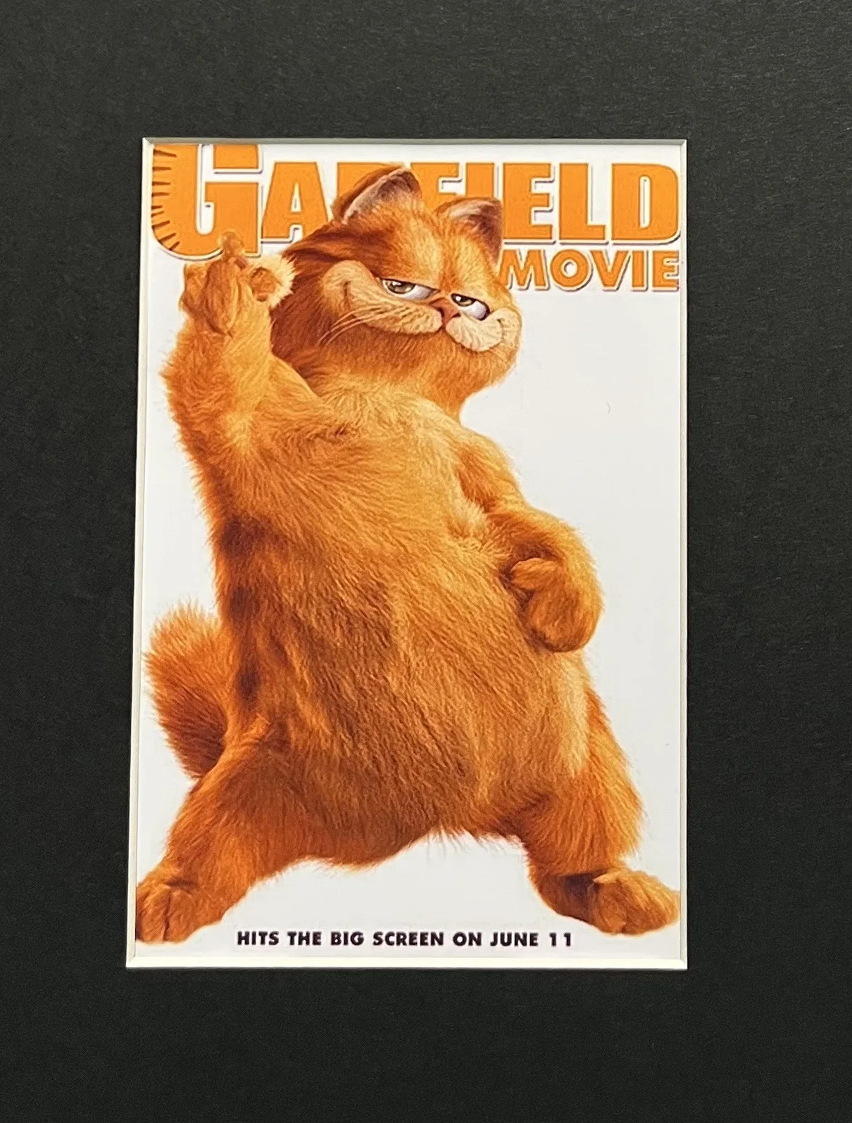 GARFIELD MOVIE . 35mm Film Cell MOUNTED DISPLAY, изображение 2