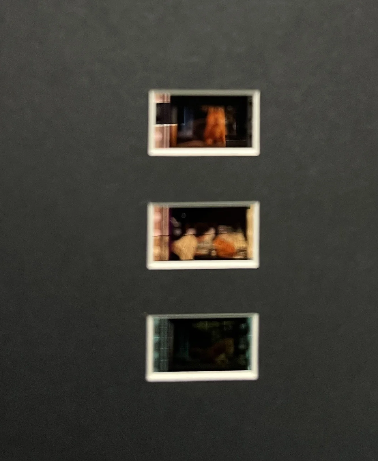 GARFIELD MOVIE . 35mm Film Cell MOUNTED DISPLAY, изображение 3