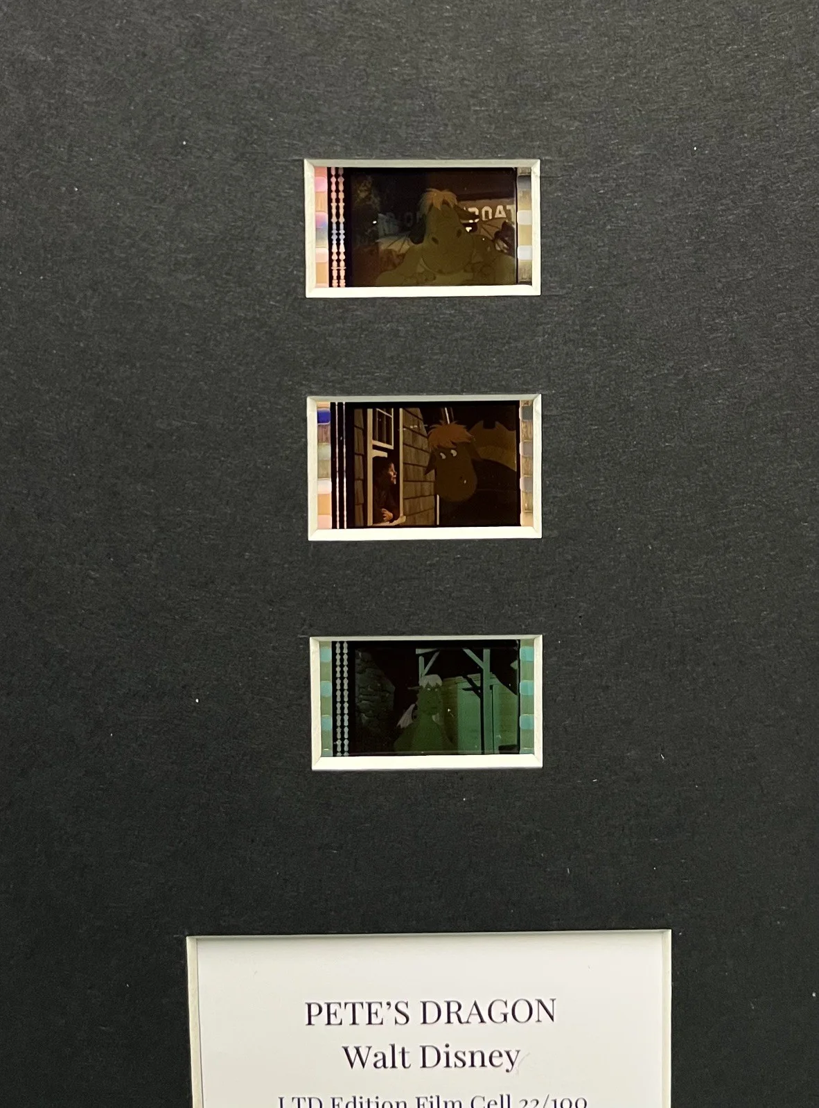 PETE’S DRAGON . 35mm Film Cell MOUNTED DISPLAY, image 3