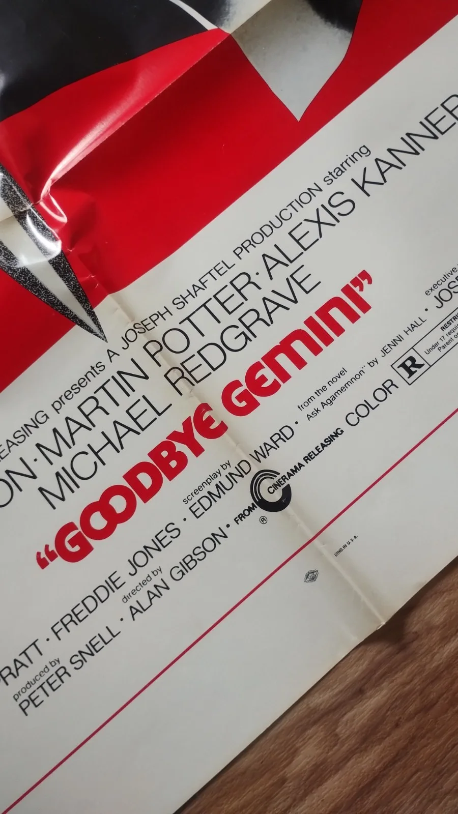 Goodbye Gemini 1970 original large USA movie poster Judy Geeson Twinsanity, изображение 3