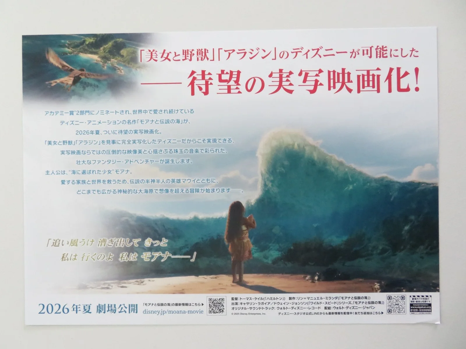 MOANA JAPANESE CHIRASHI (B5) POSTER DISNEY JOHNSON CATHERINE LAGA'AIA 2026, изображение 3