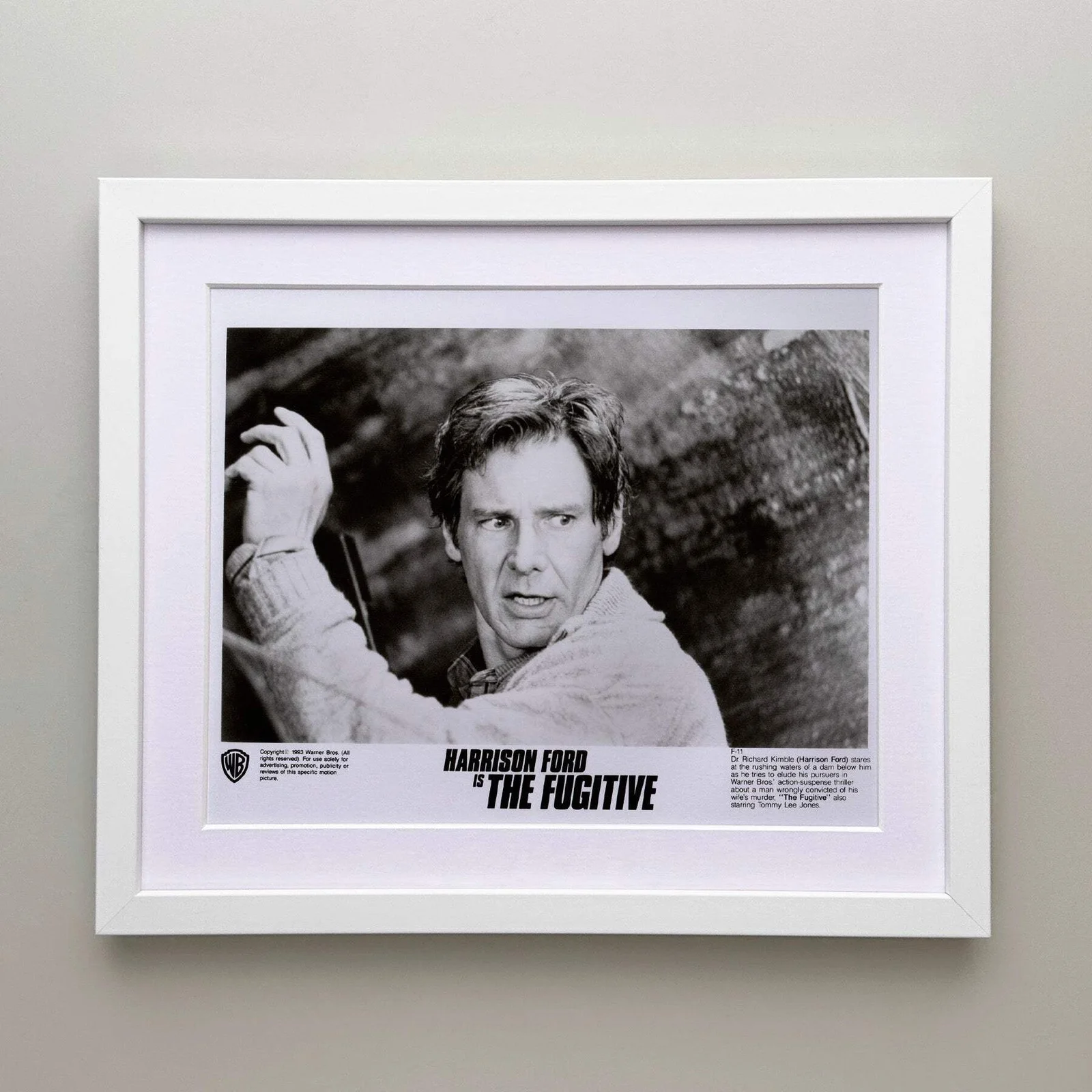 The Fugitive (1993) Press Publicity Still - Framed, image 3