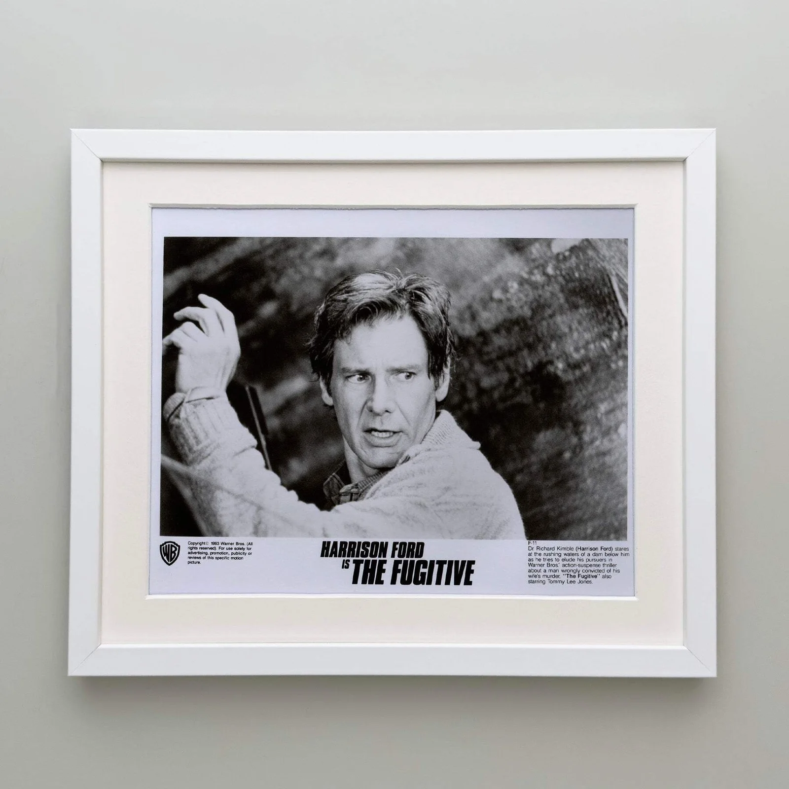 The Fugitive (1993) Press Publicity Still - Framed, image 4