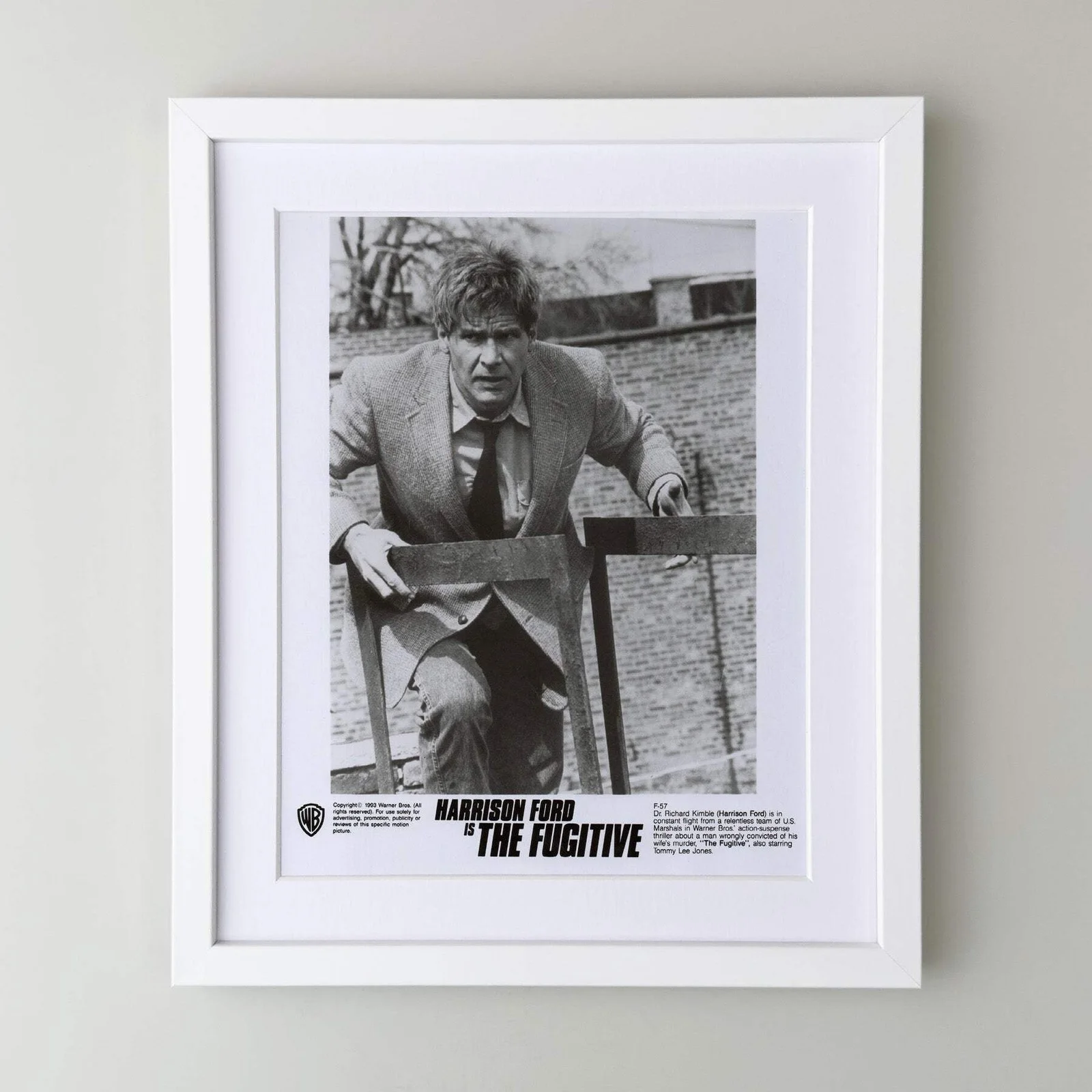 The Fugative (1993) Press Publicity Still - Framed, image 3