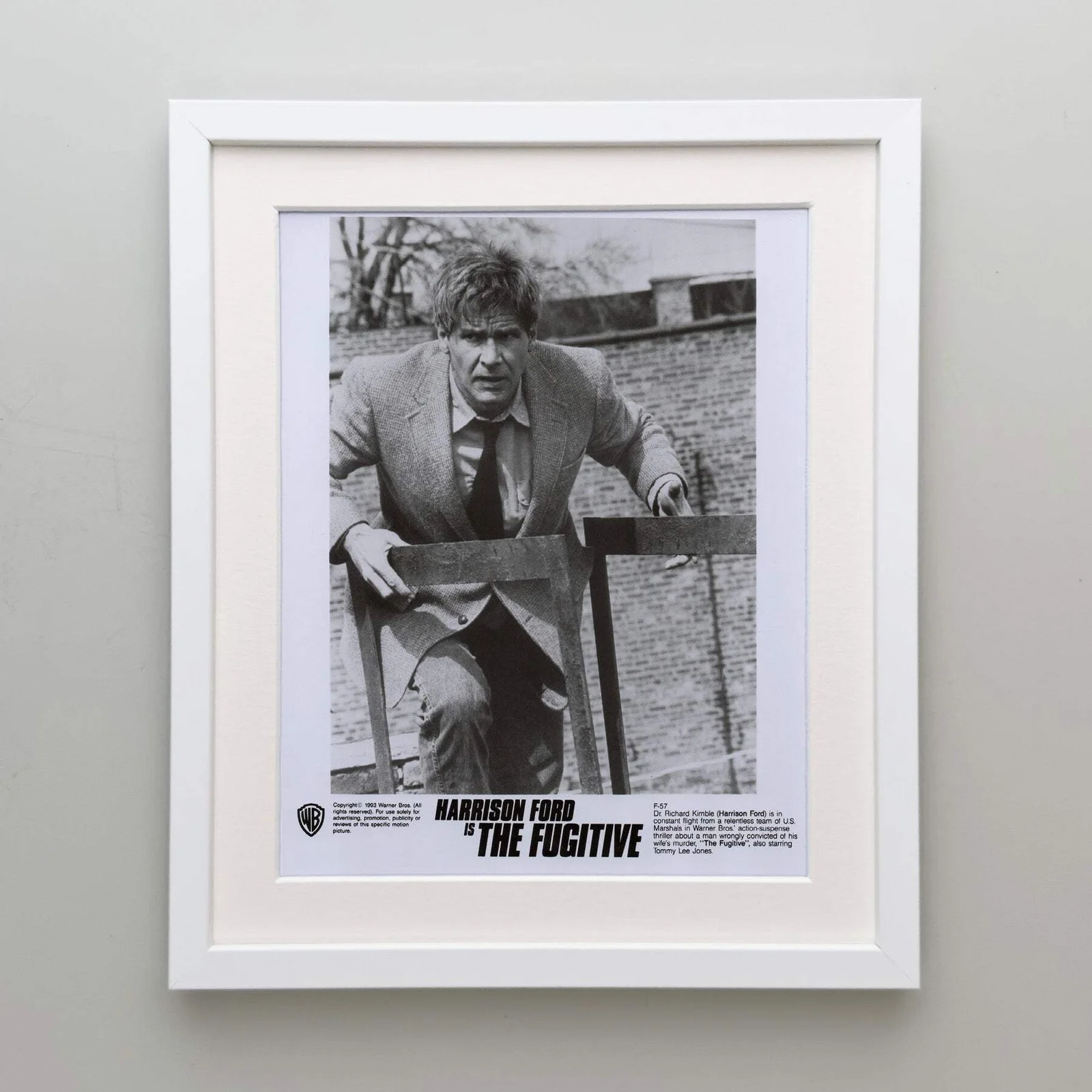 The Fugative (1993) Press Publicity Still - Framed, image 4