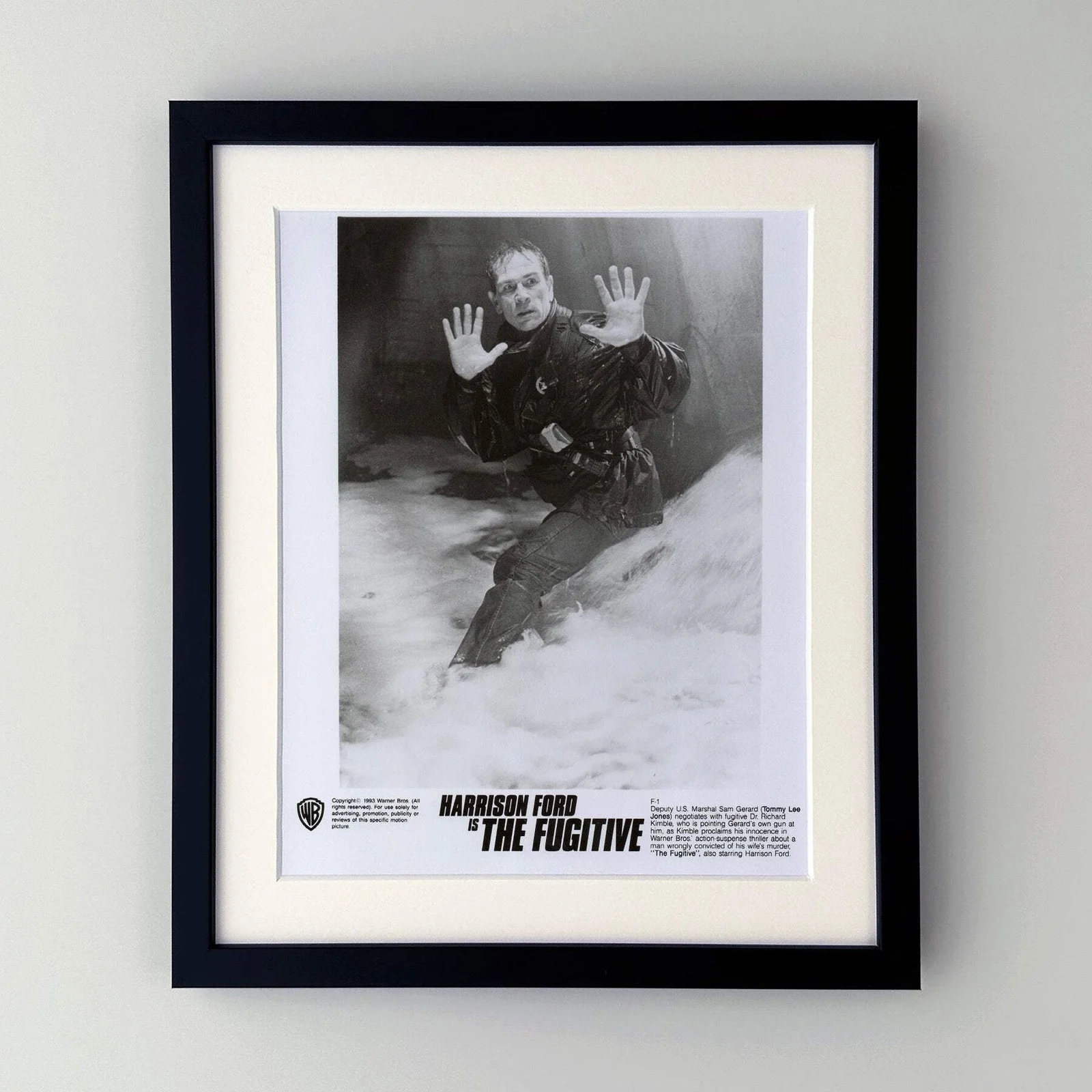 The Fugative (1993) Press Publicity Still - Framed, image 2