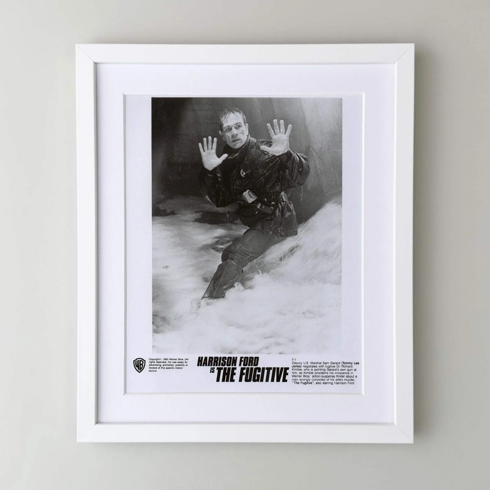 The Fugative (1993) Press Publicity Still - Framed, image 3