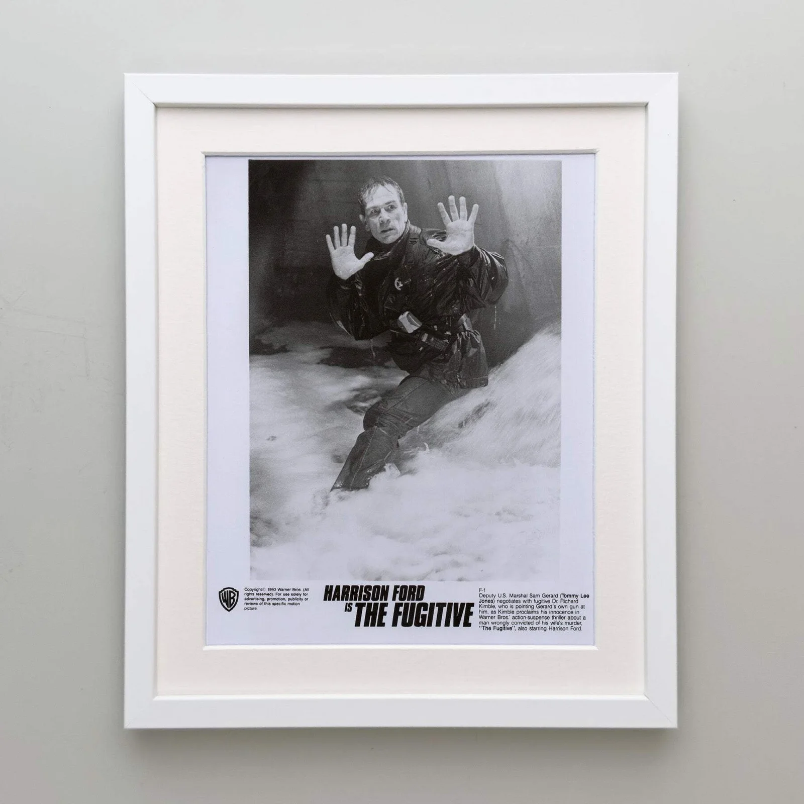 The Fugative (1993) Press Publicity Still - Framed, image 4