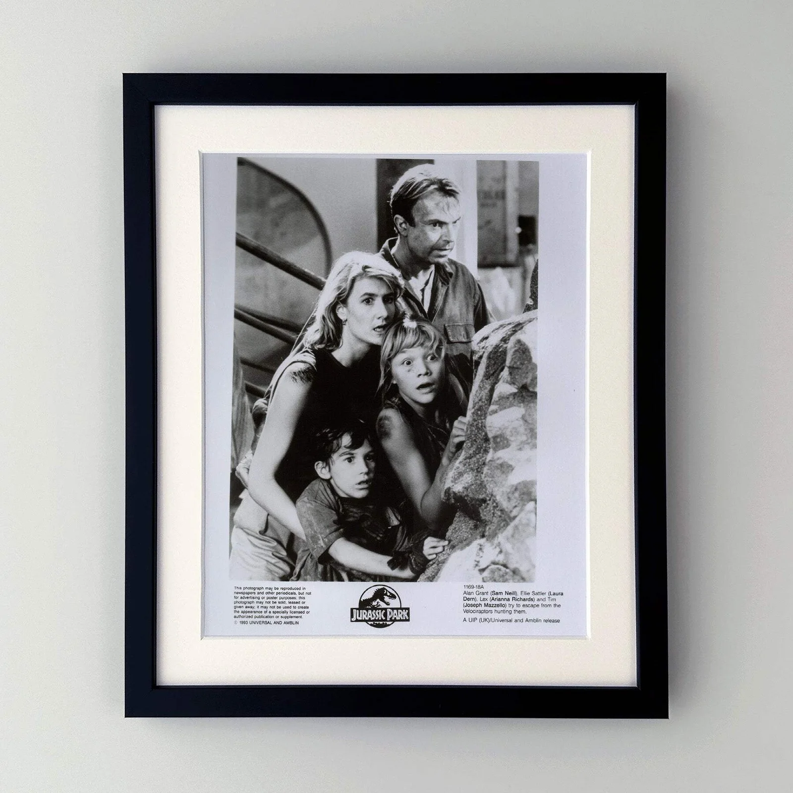 Jurassic Park (1993) Press Publicity Still - Framed, image 2