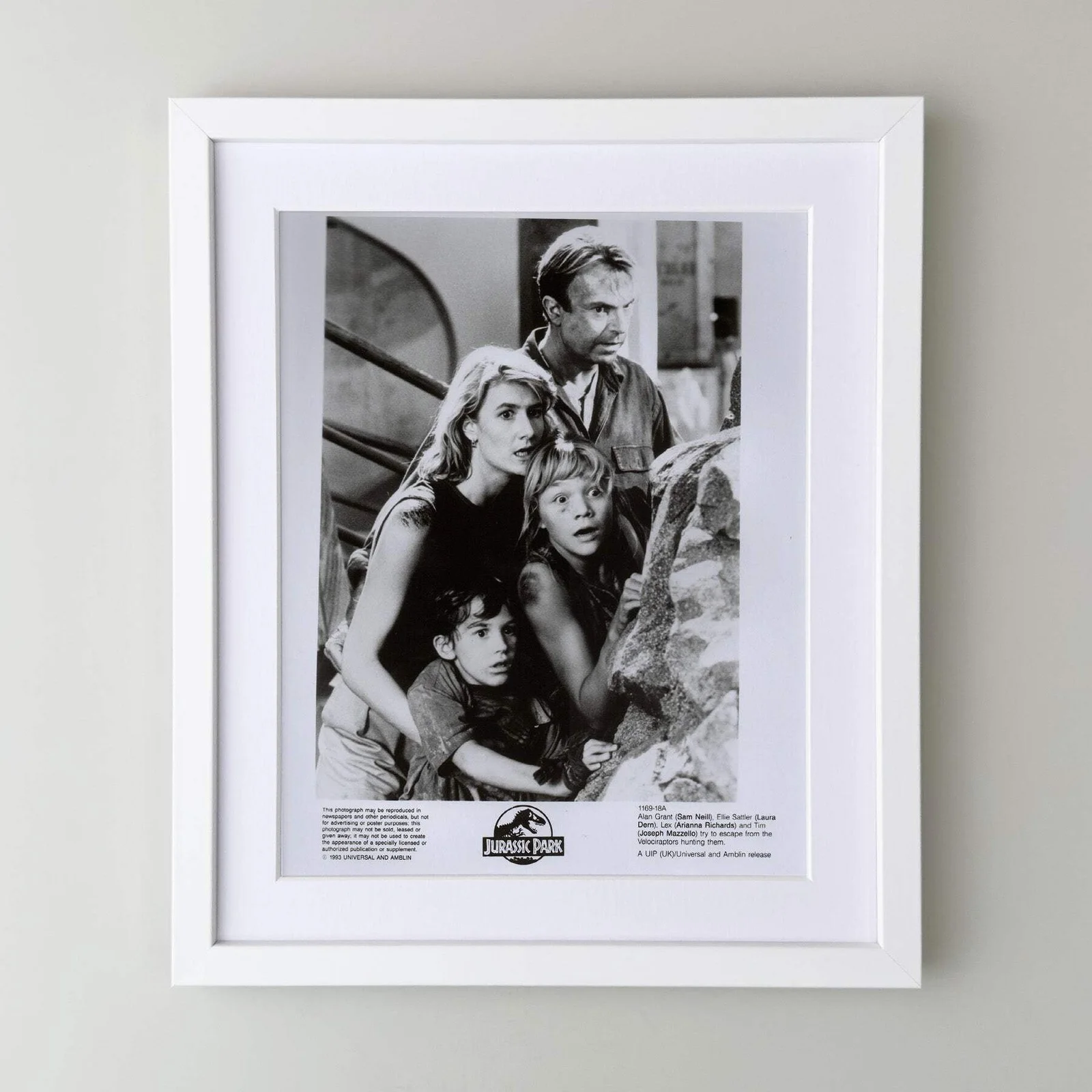 Jurassic Park (1993) Press Publicity Still - Framed, image 3