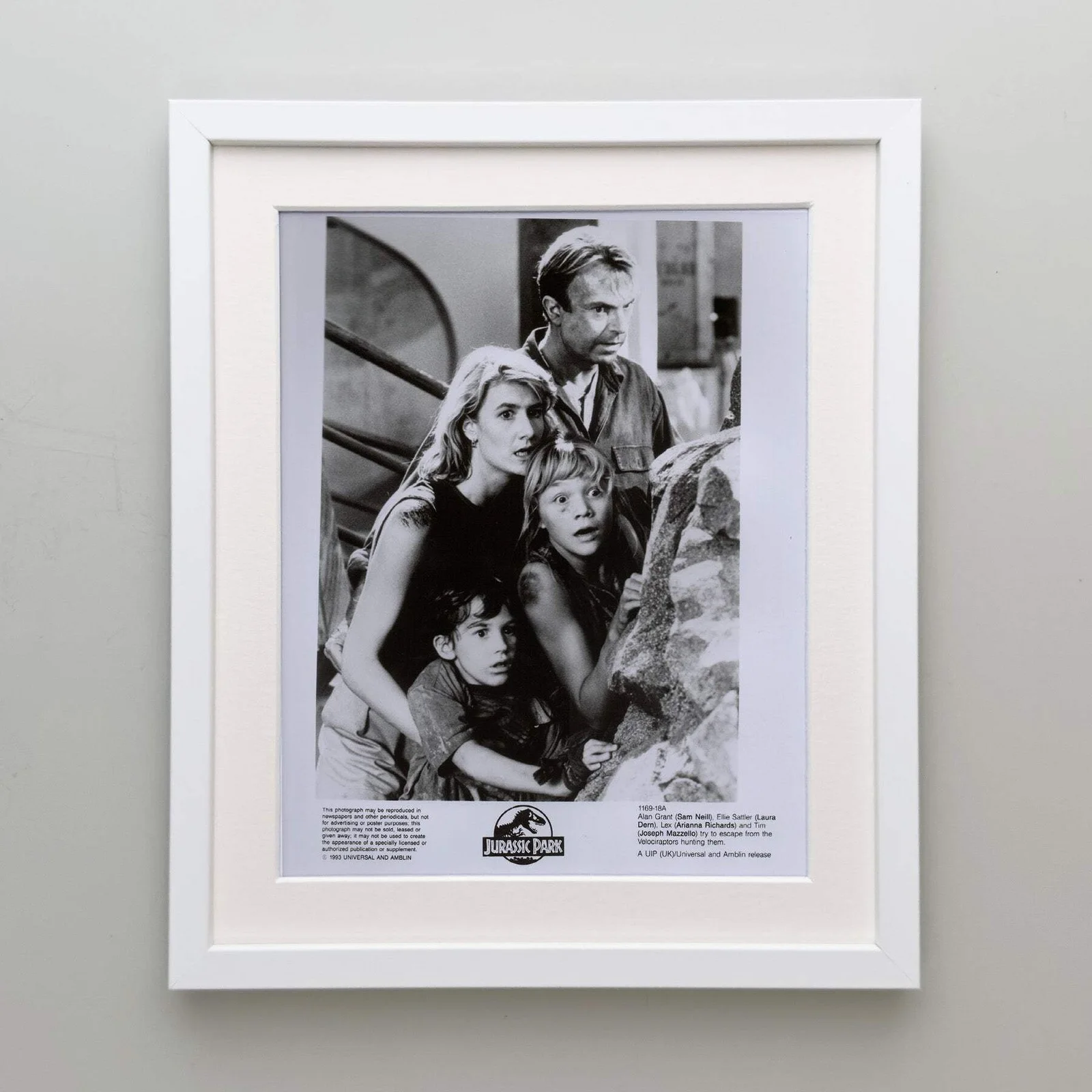 Jurassic Park (1993) Press Publicity Still - Framed, image 4